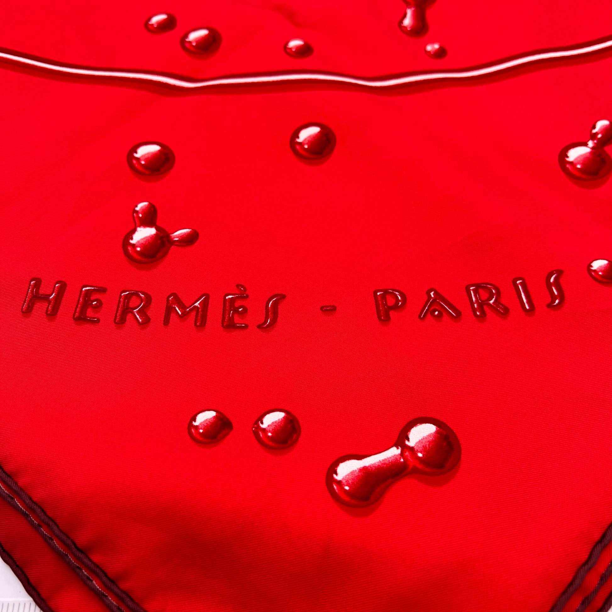 Hermes Scarf Vif Argent by Dimitri Rybaltchenko W23002