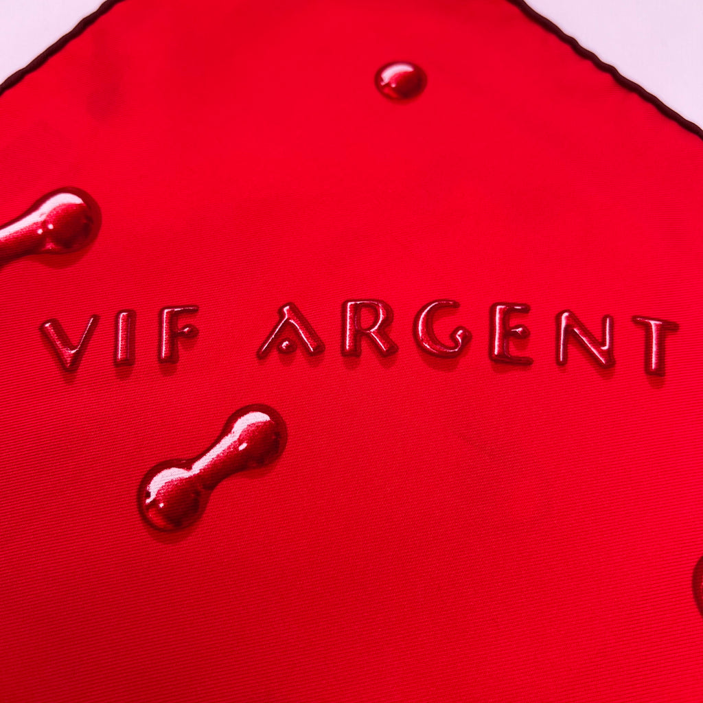Hermes Scarf Vif Argent by Dimitri Rybaltchenko W23002