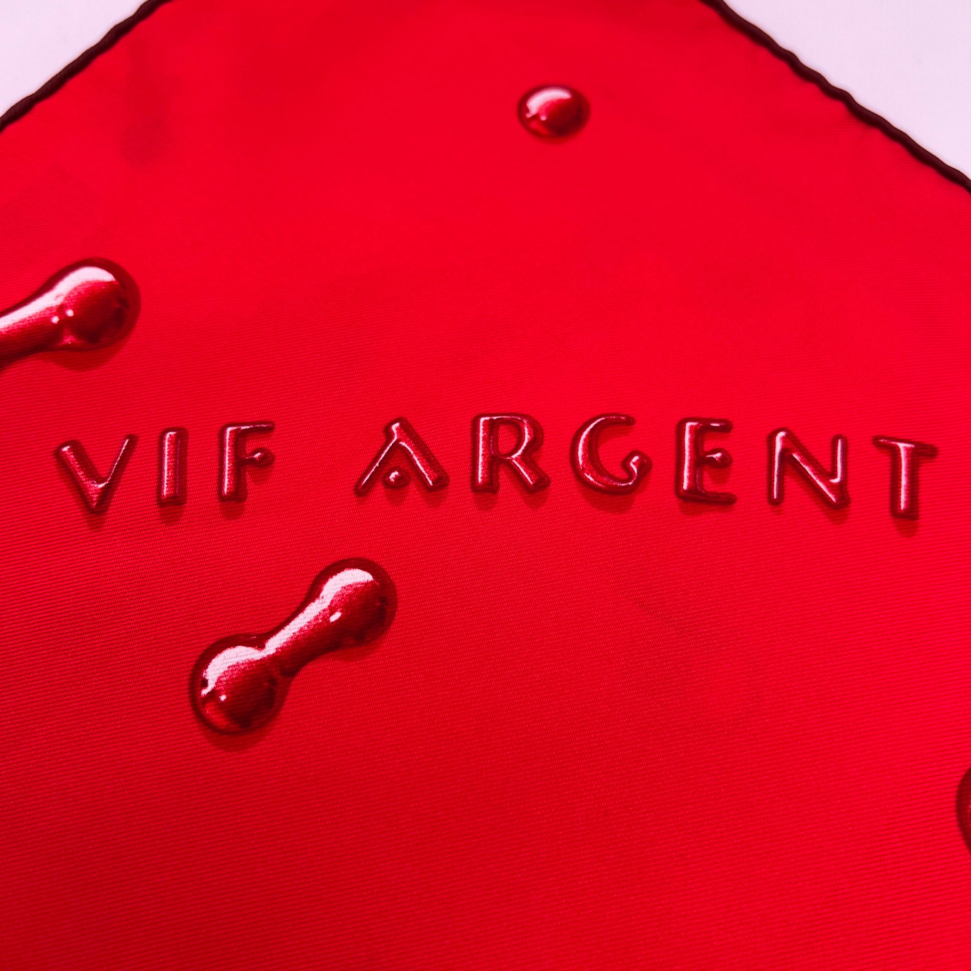 Hermes Scarf Vif Argent by Dimitri Rybaltchenko W23002