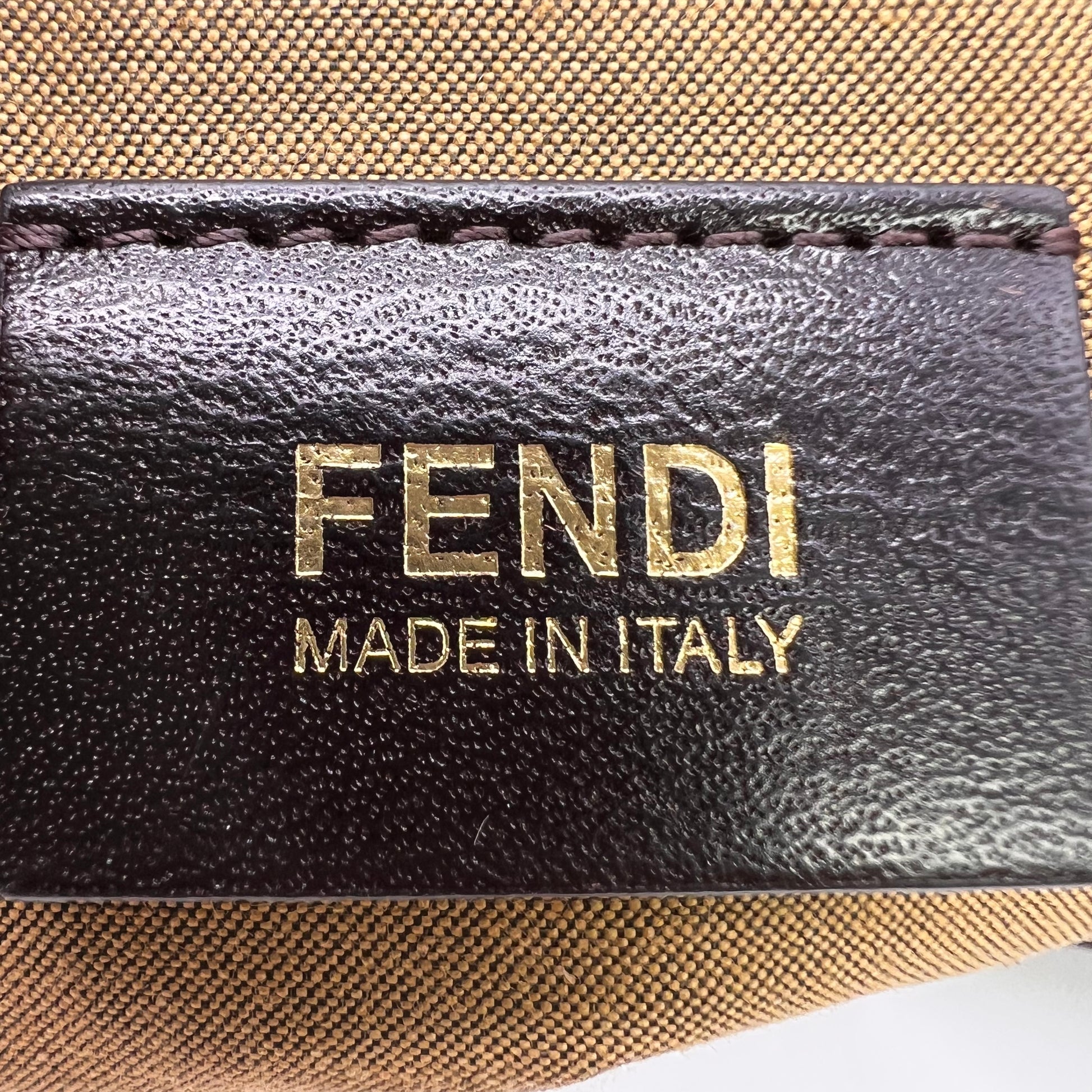 Fendi Zucca Tote Bag canvas Brown B23905