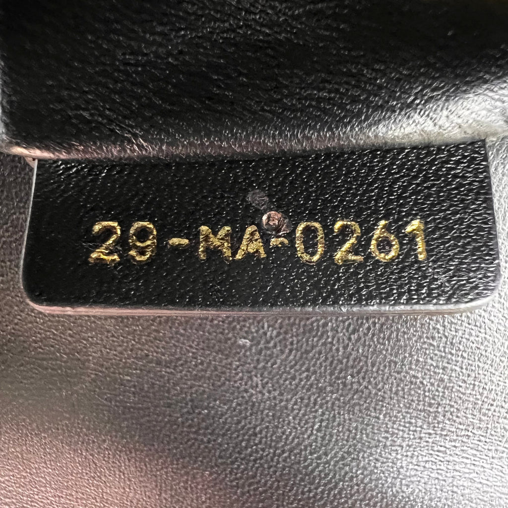 Christian Dior Pony Hair 30 Montaigne Bag