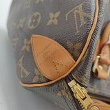 Speedy Handbag Monogram Canvas 30