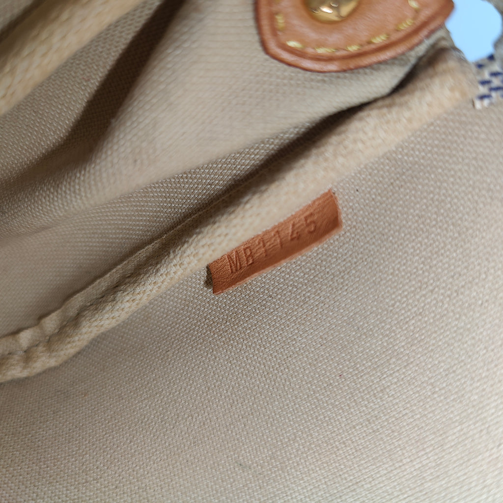 Eva Handbag Damier