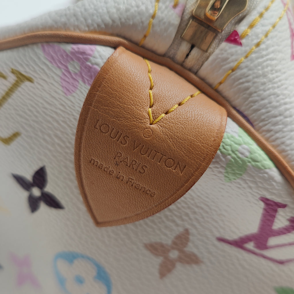 Speedy Handbag Monogram Multicolor 30