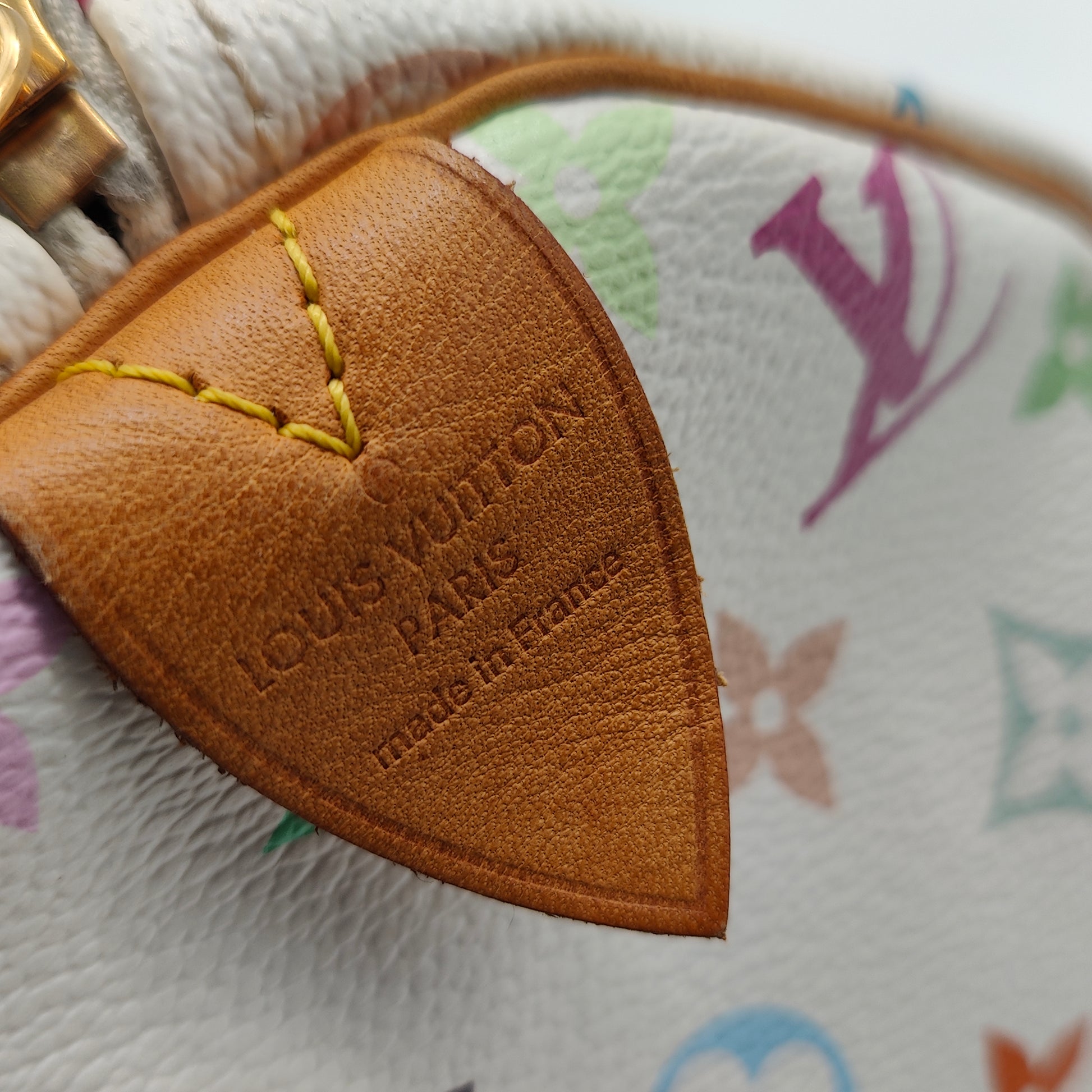 Speedy Handbag Monogram Multicolor 30