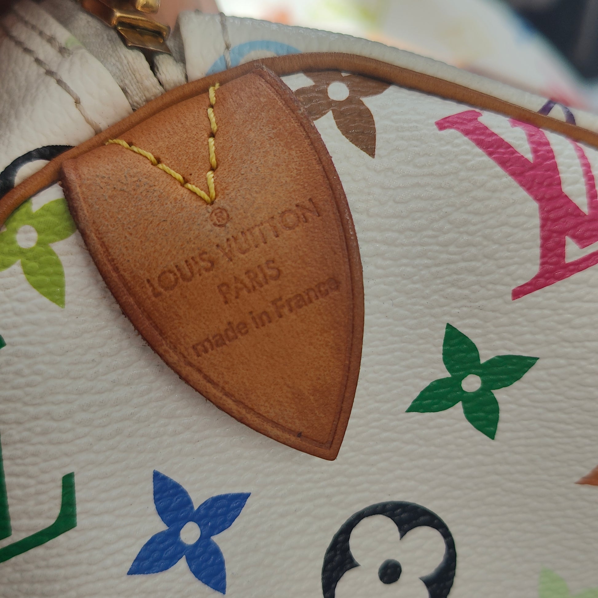 Speedy Handbag Monogram Multicolor 30