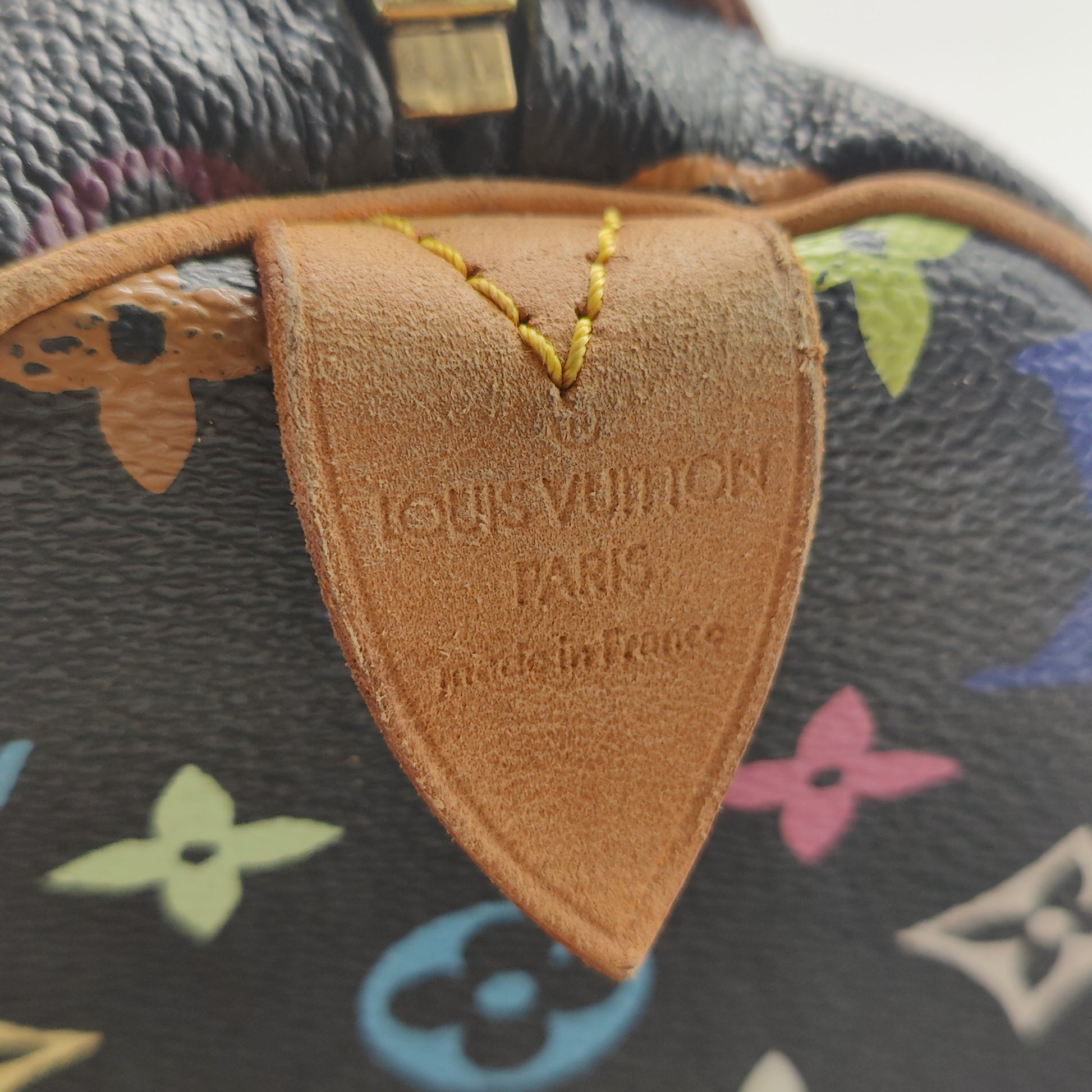 Speedy Handbag Monogram Multicolor 30