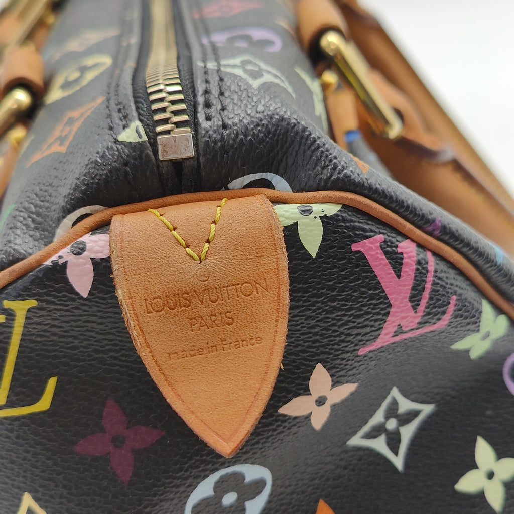 Speedy Handbag Monogram Multicolor 30