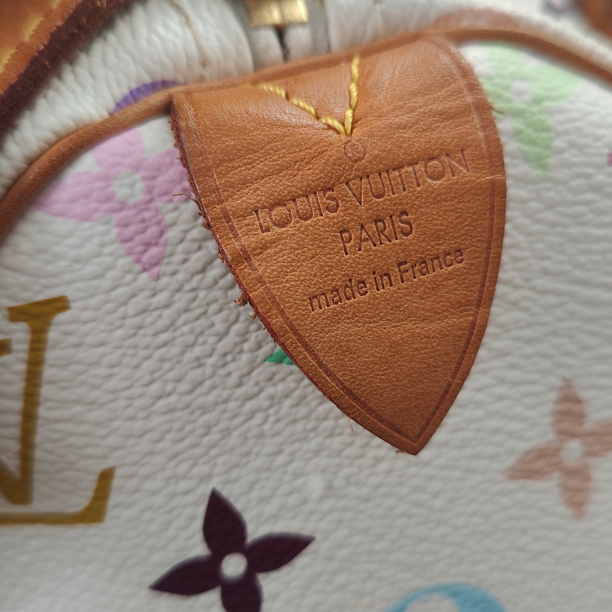 Speedy Handbag Monogram Multicolor 30
