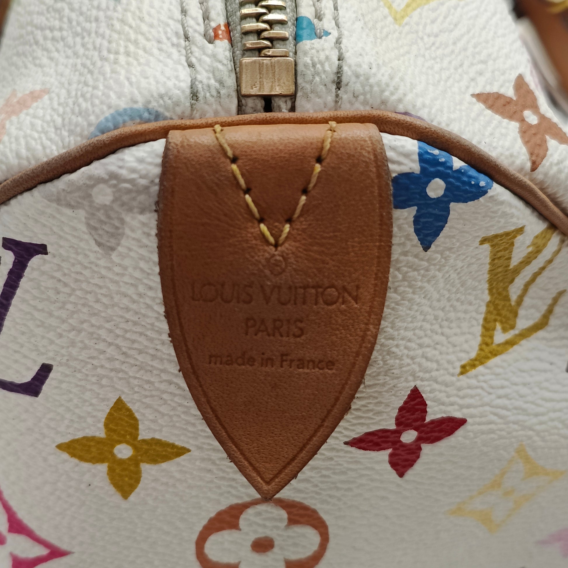 Speedy Handbag Monogram Multicolor 30