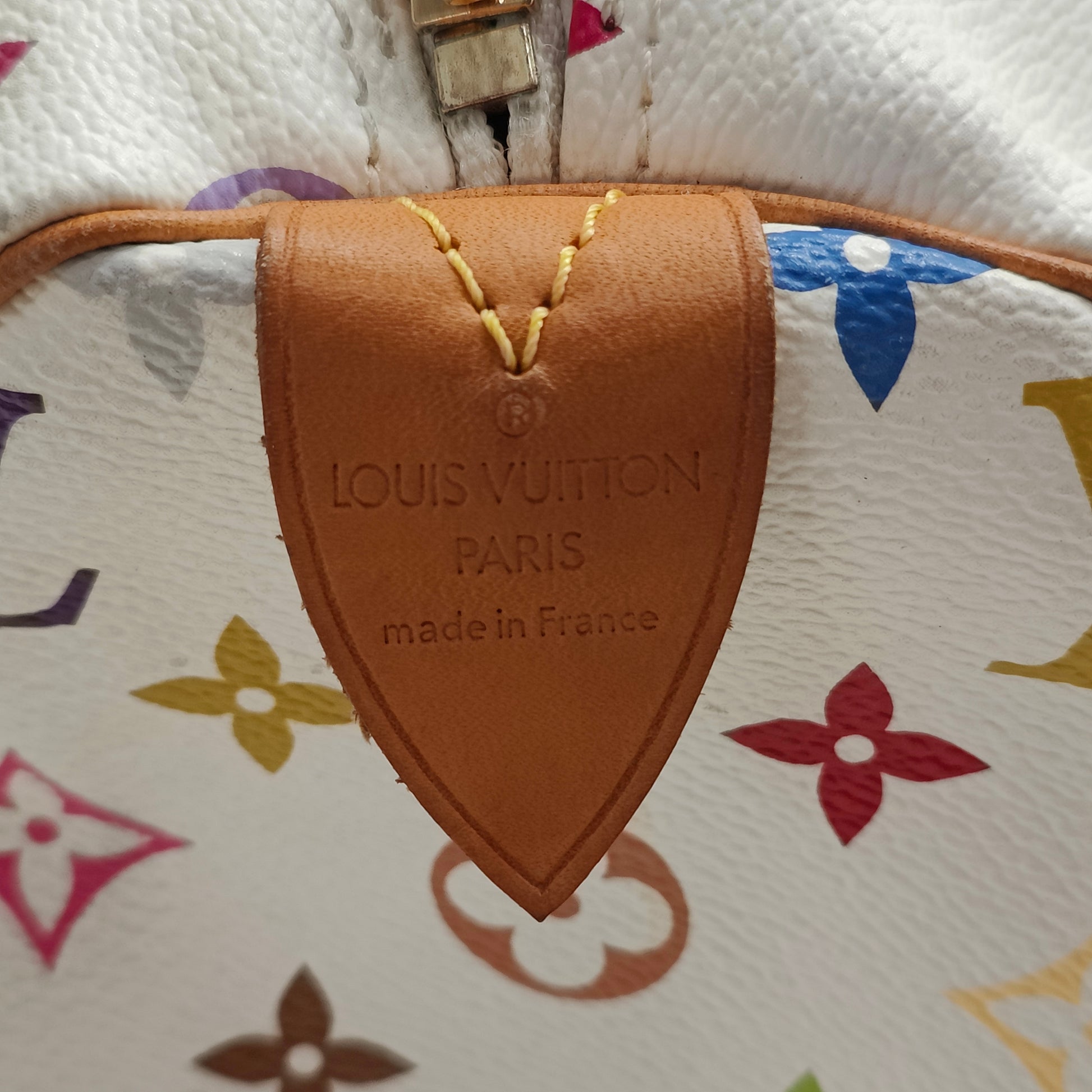 Speedy Handbag Monogram Multicolor 30