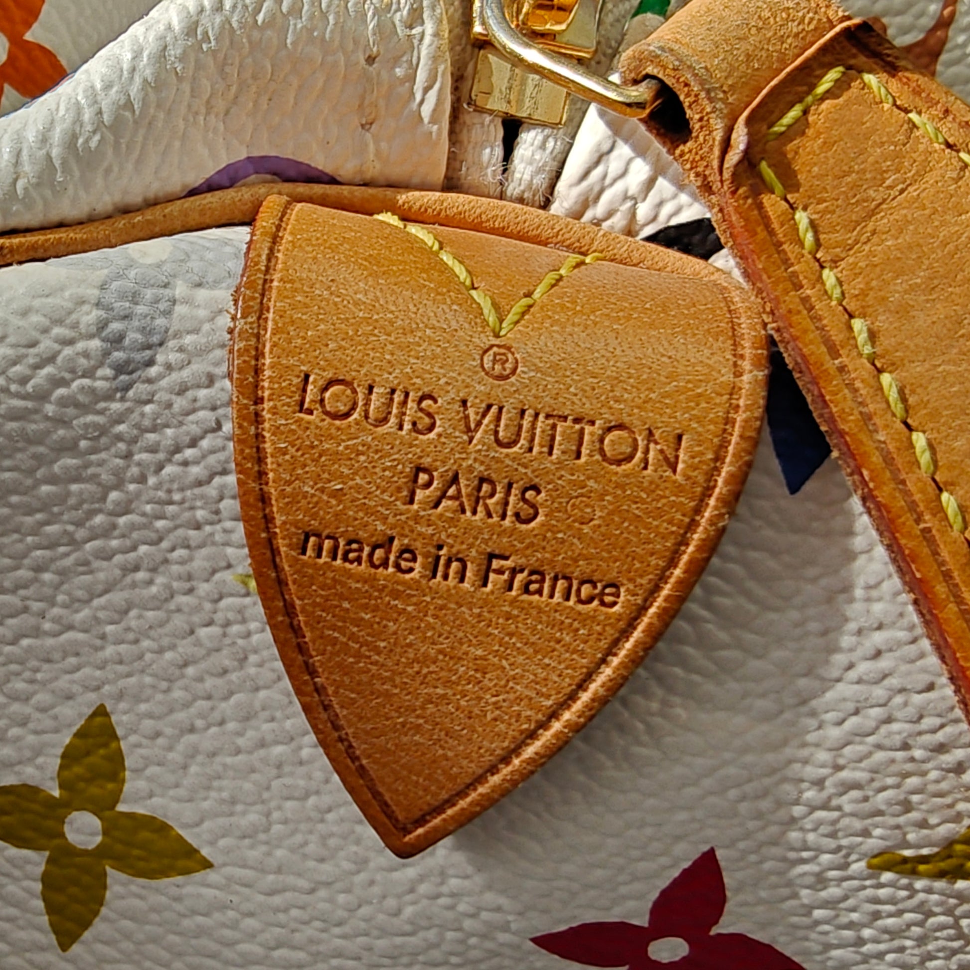 Speedy Handbag Monogram Multicolor 30