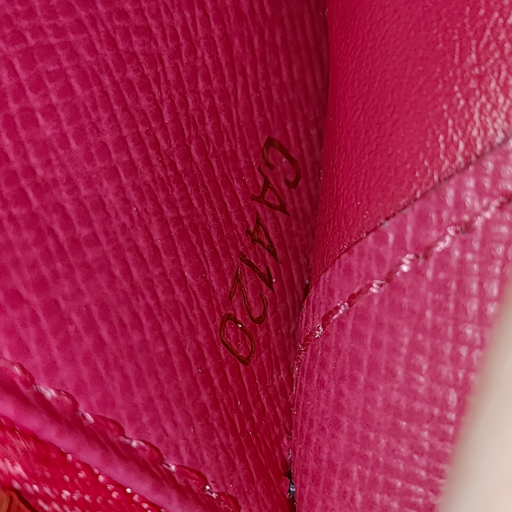Insolite Wallet Monogram Multicolor