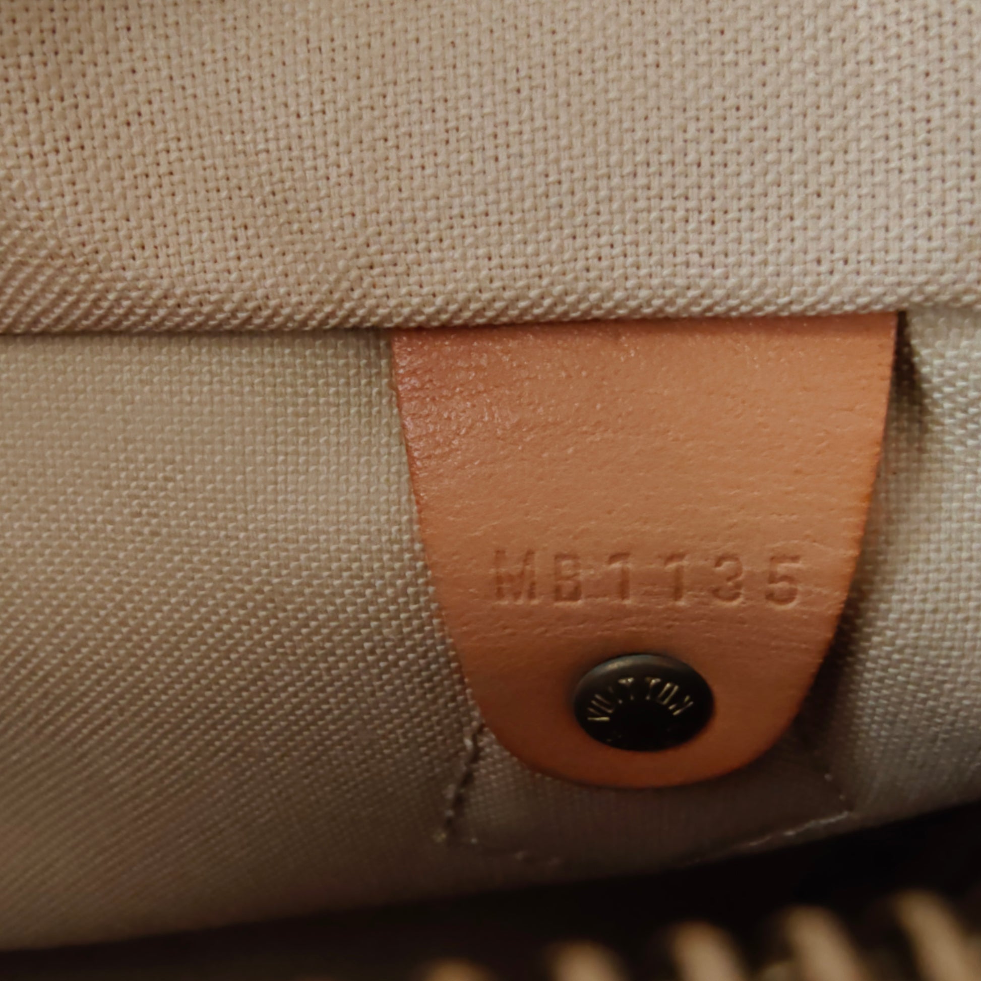 Speedy Handbag Damier 25