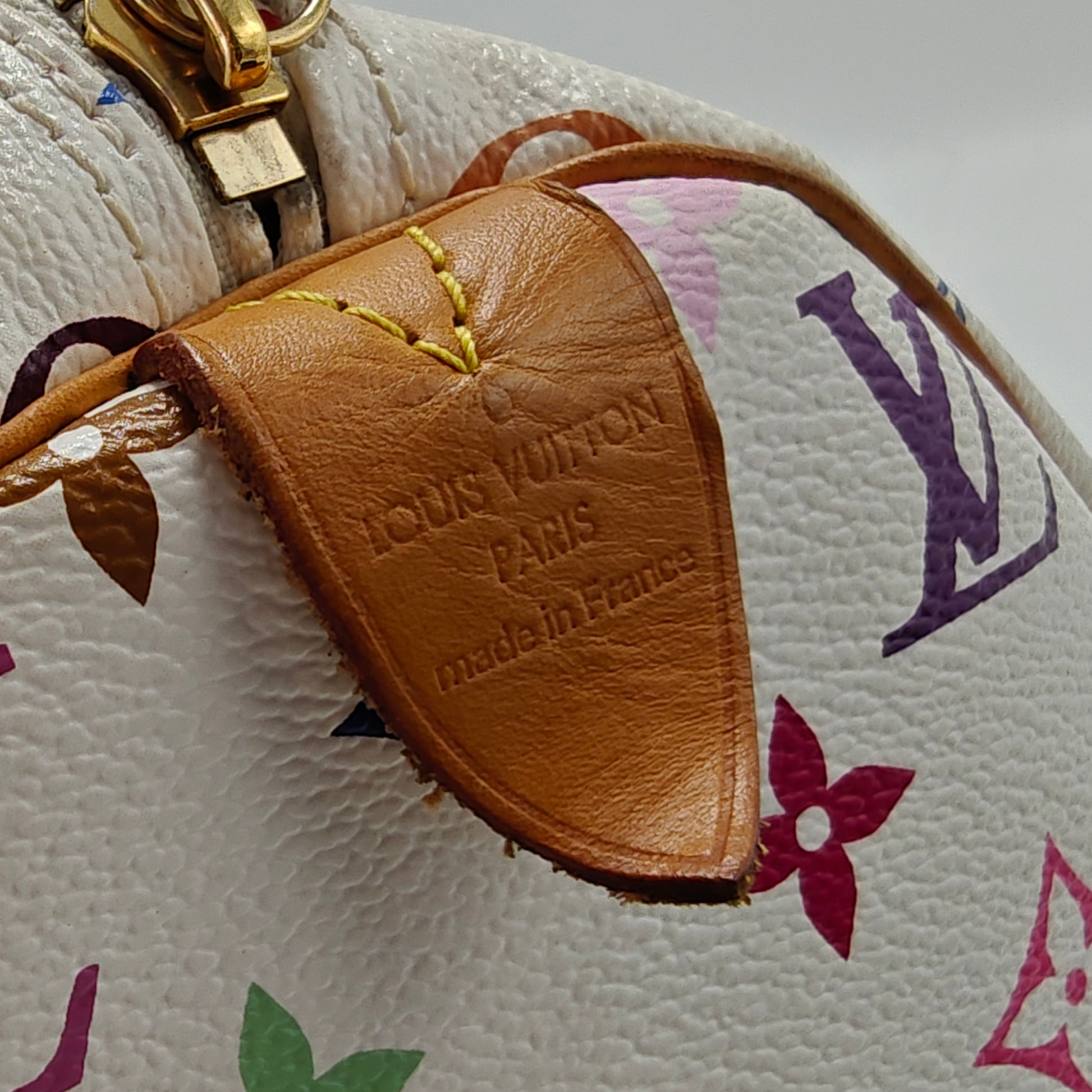 Speedy Handbag Monogram Multicolor 30
