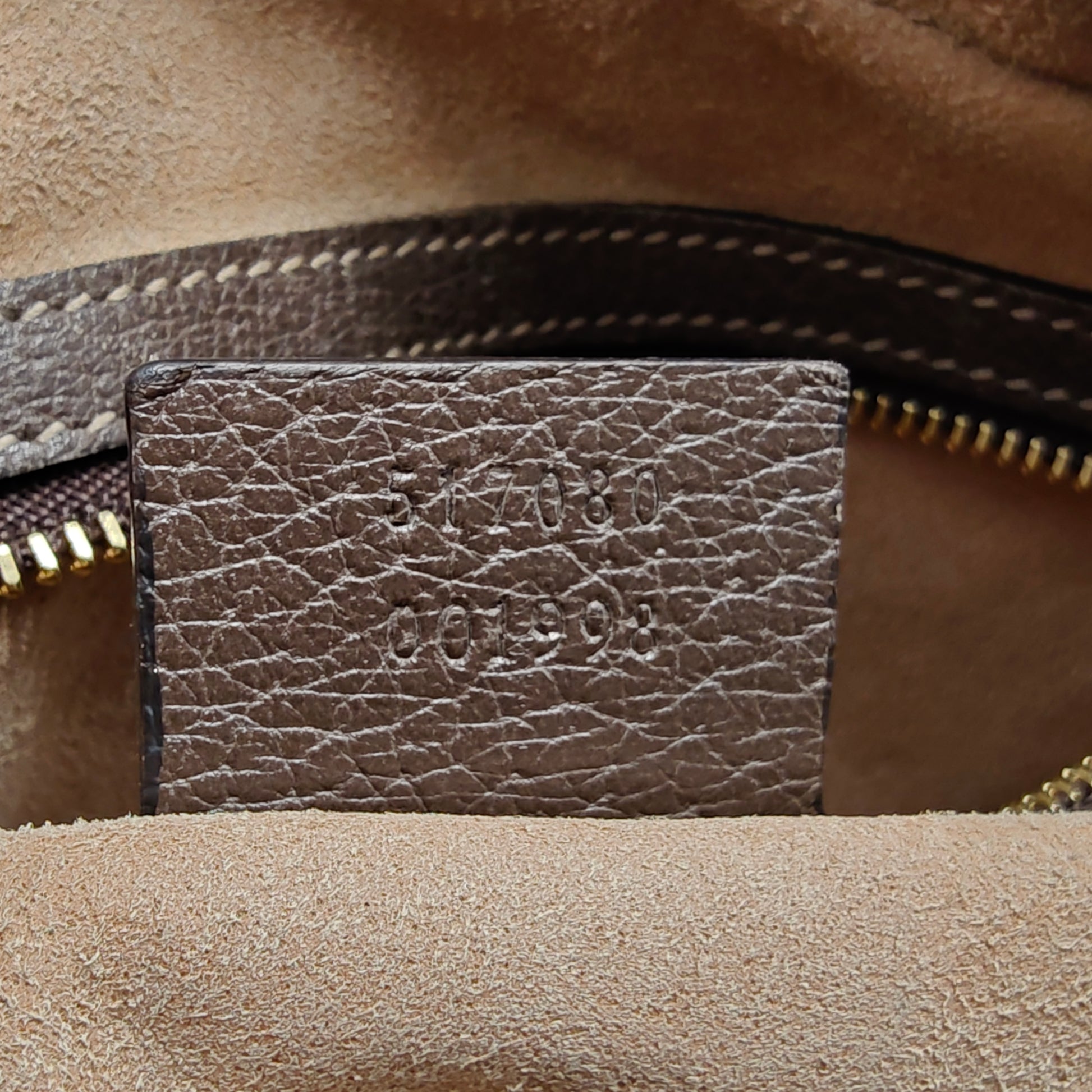 GG Supreme Small Ophidia Crossbody Bag