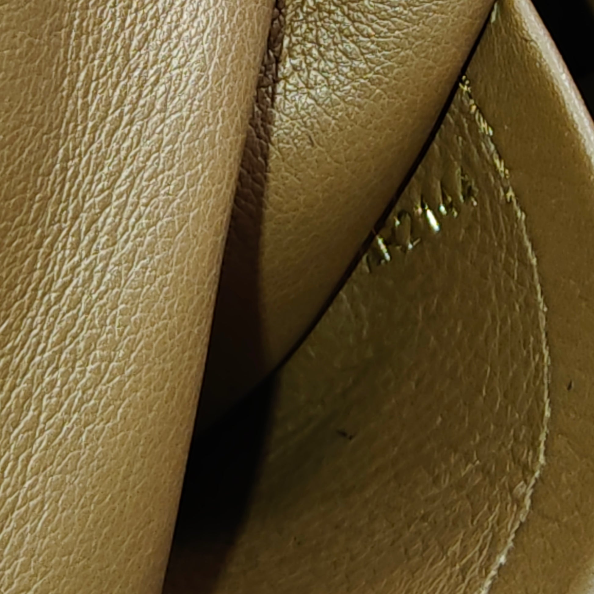 Capucines Bag Leather PM