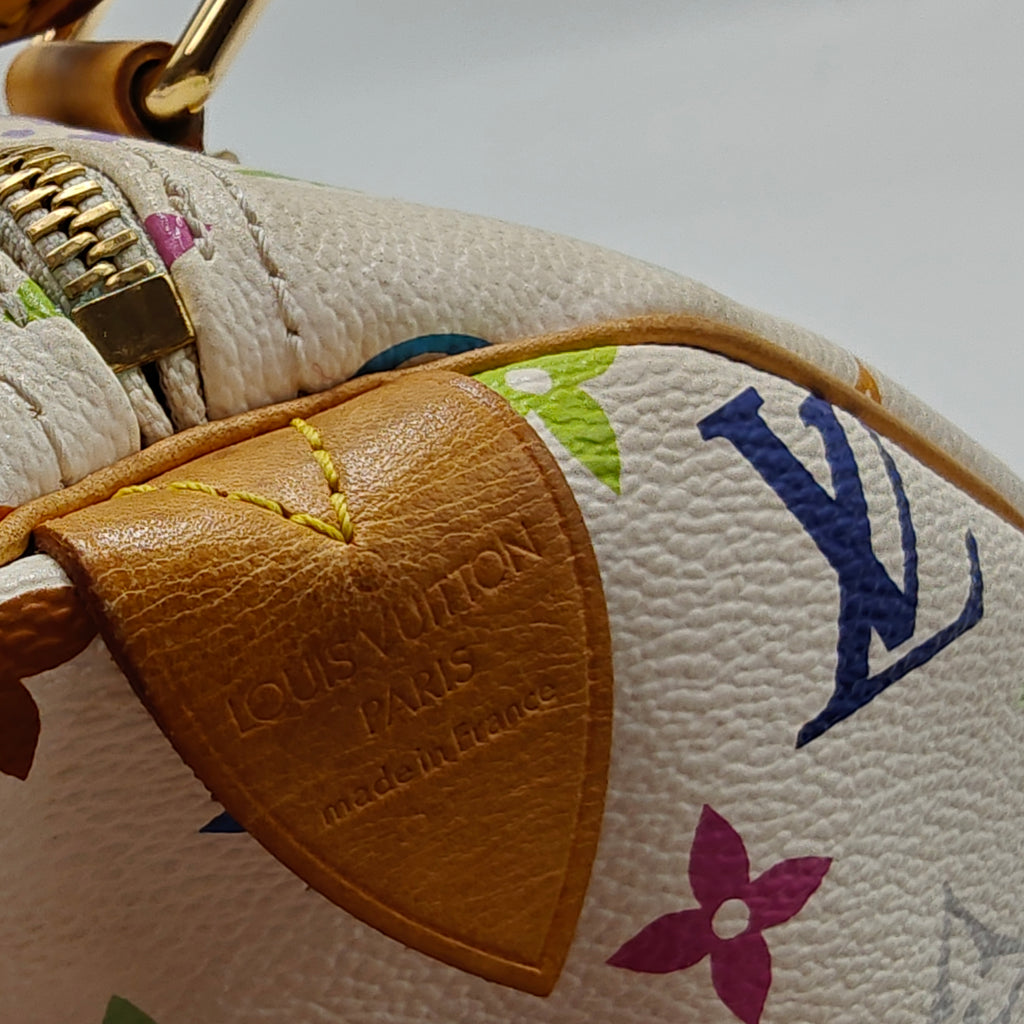 Speedy Handbag Monogram Multicolor 30
