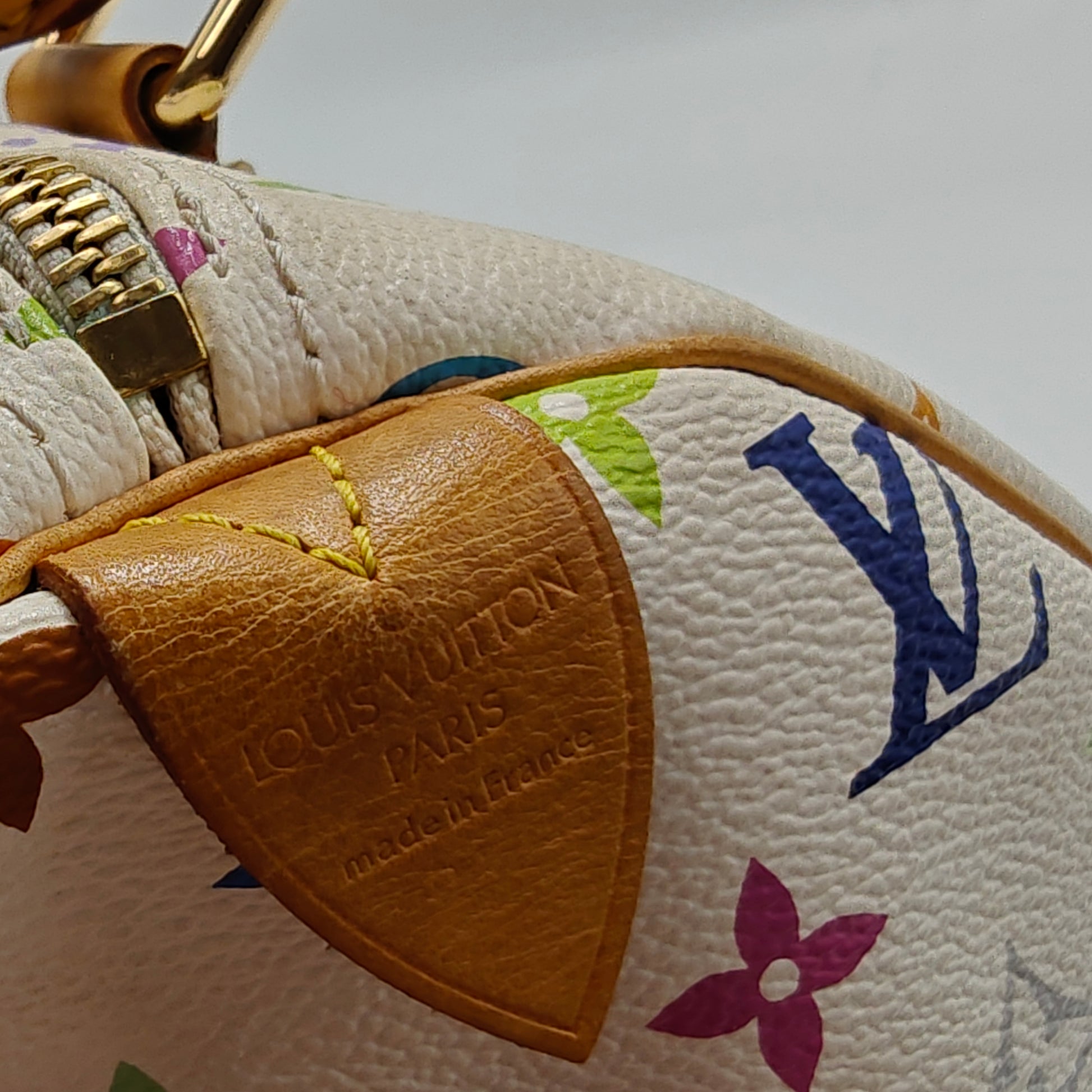 Speedy Handbag Monogram Multicolor 30
