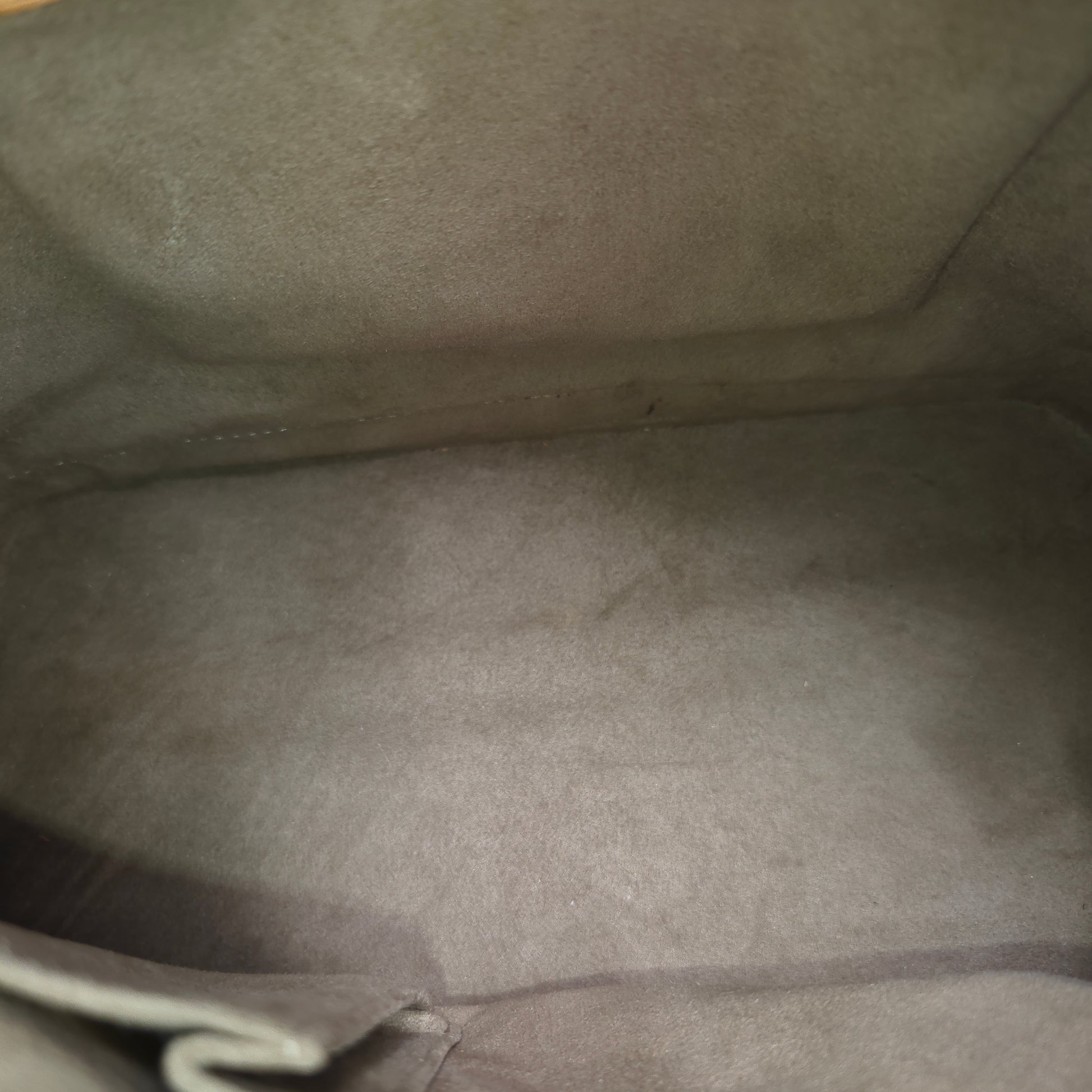 Alma Handbag Monogram Multicolor PM