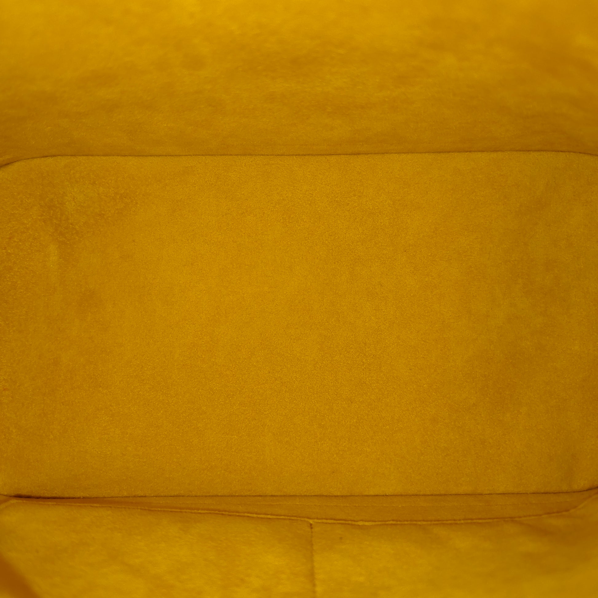 Alma Handbag Epi Leather PM