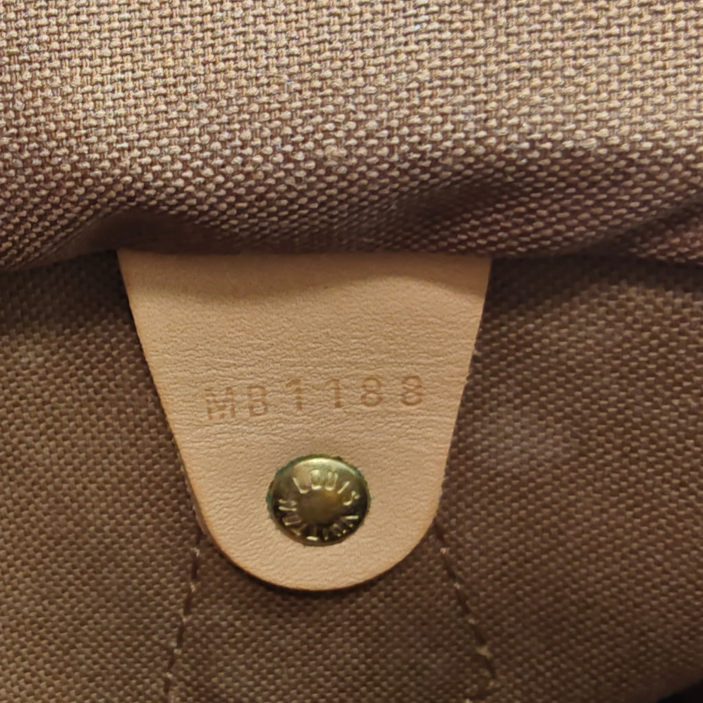 Speedy Handbag Monogram Canvas 30