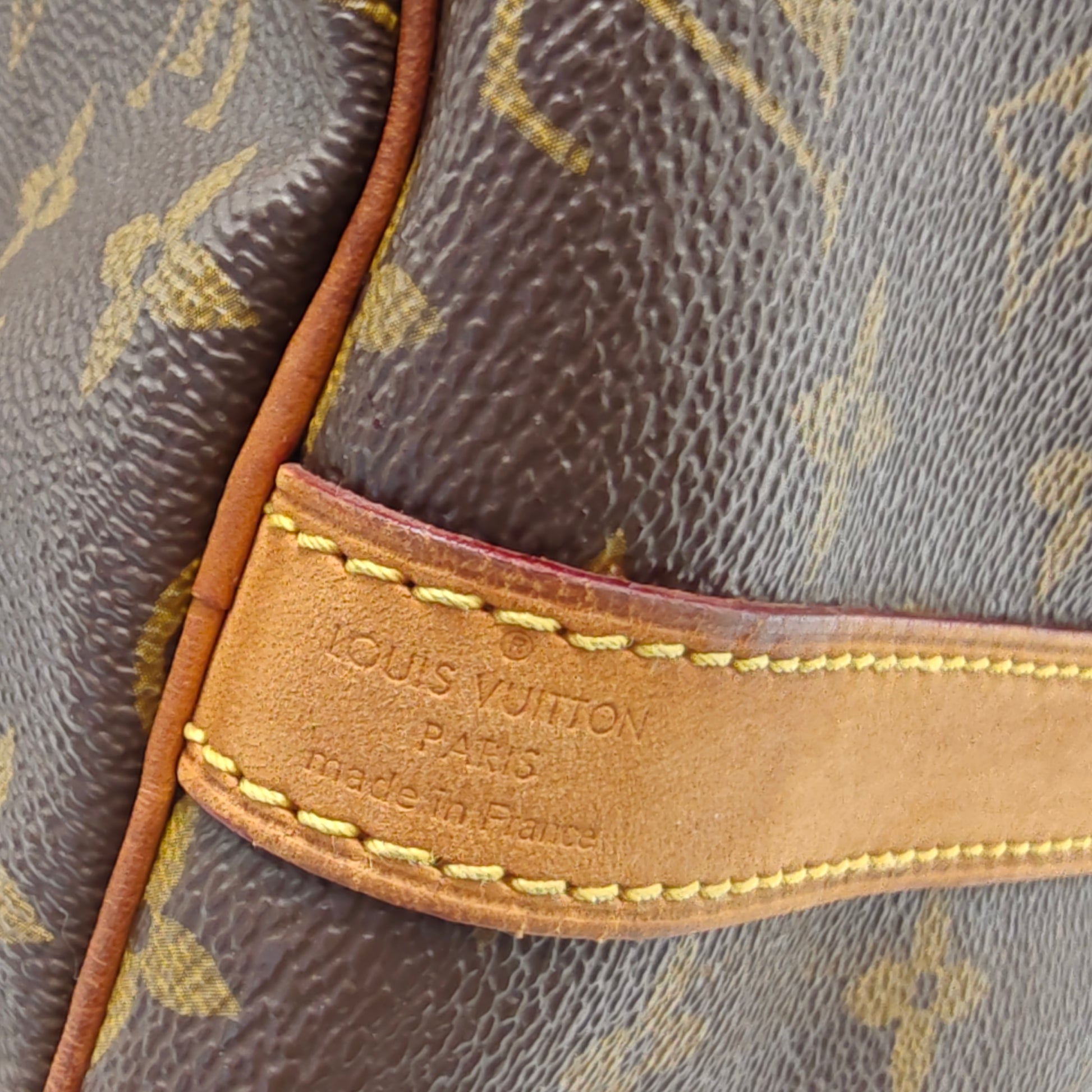Speedy Handbag Monogram Canvas 30