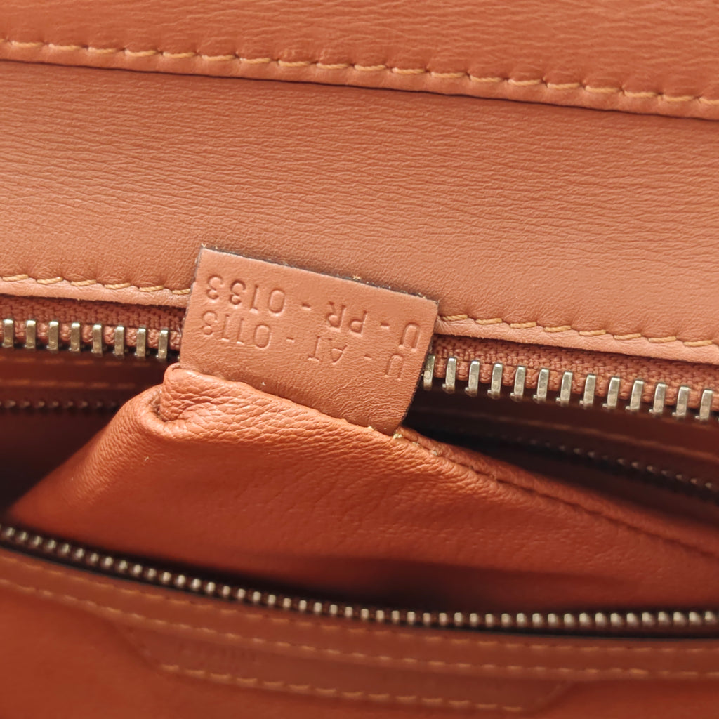 Smooth Calfskin Mini Luggage Sienna