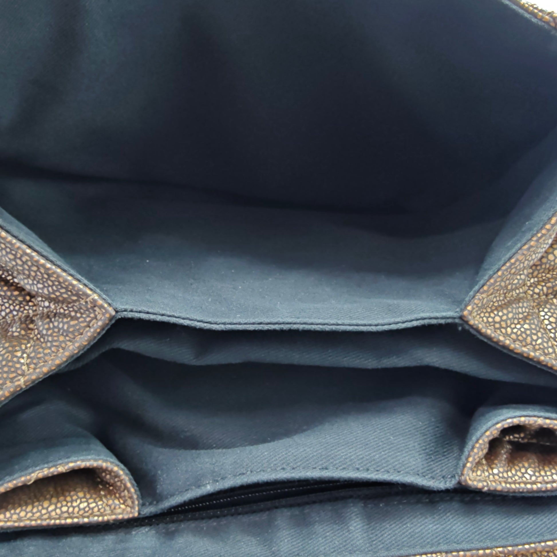 Timeless Accordion Flap Bag Quilted Caviar For Gisel