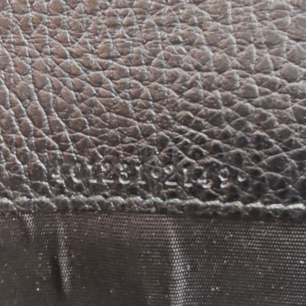 Mini Dionysus Wallet on Chain