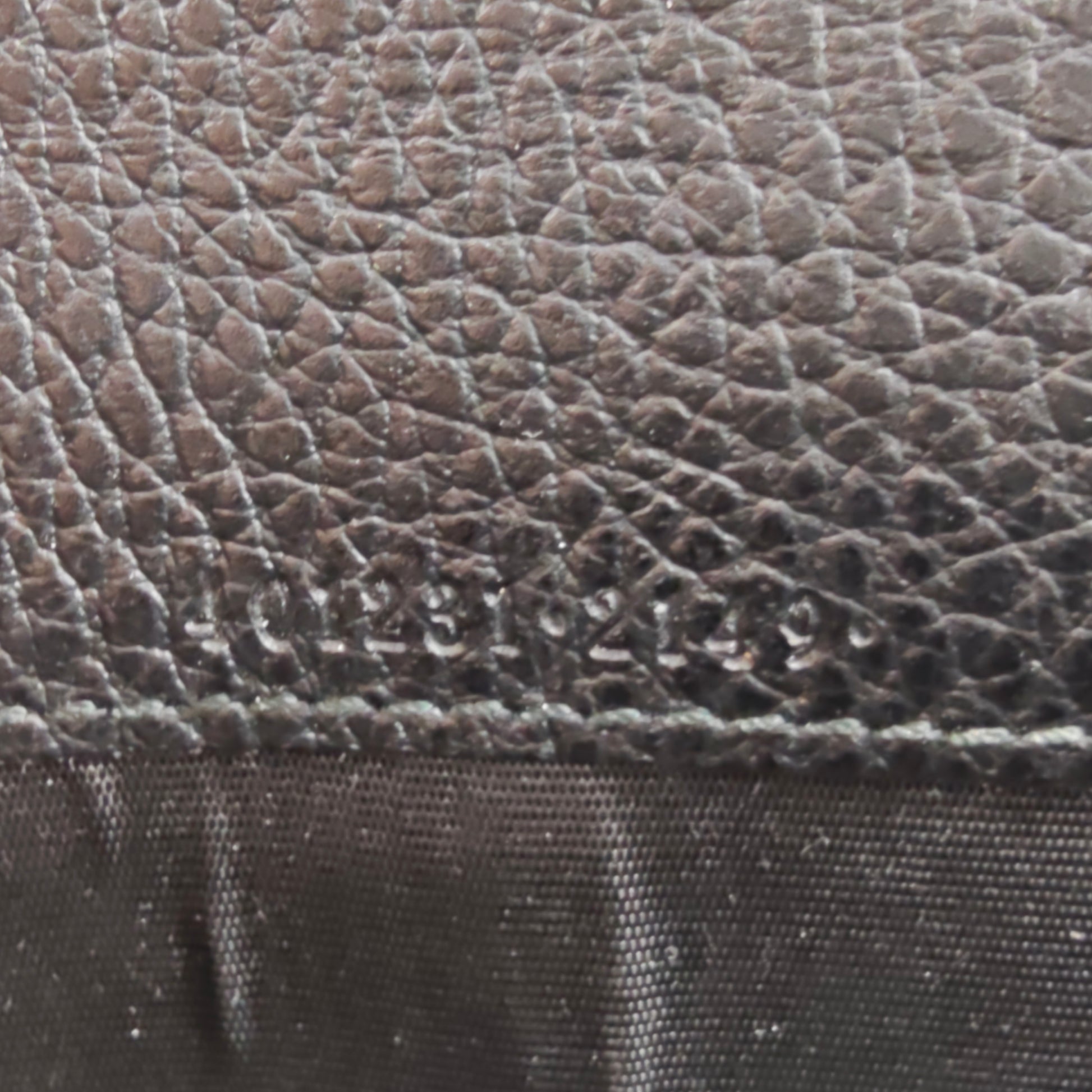 Mini Dionysus Wallet on Chain