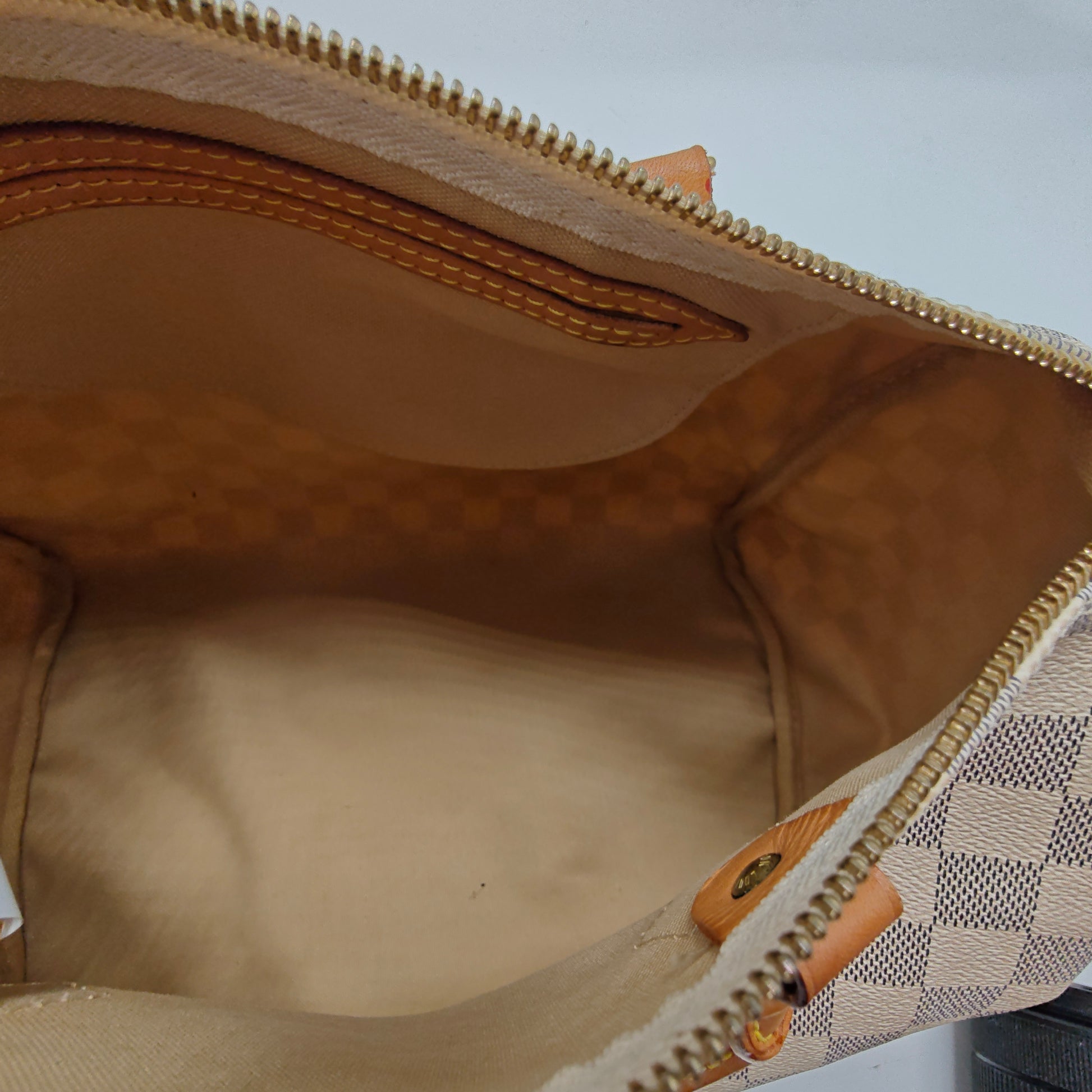 Speedy Handbag Damier 30