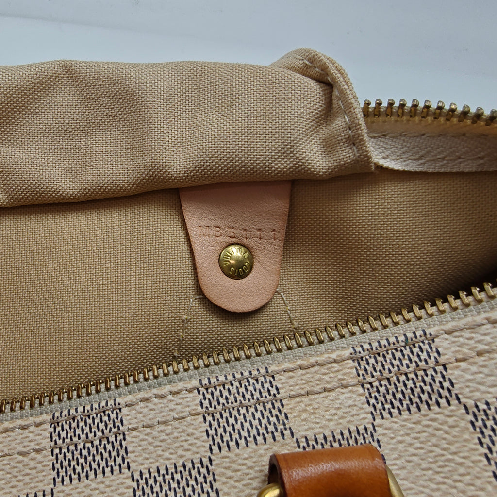 Speedy Handbag Damier 30