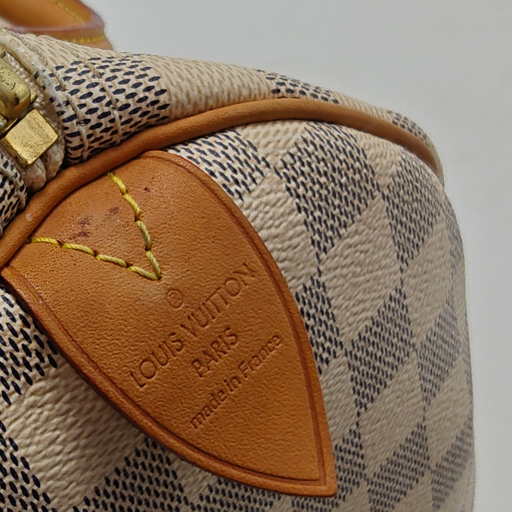 Speedy Handbag Damier 30