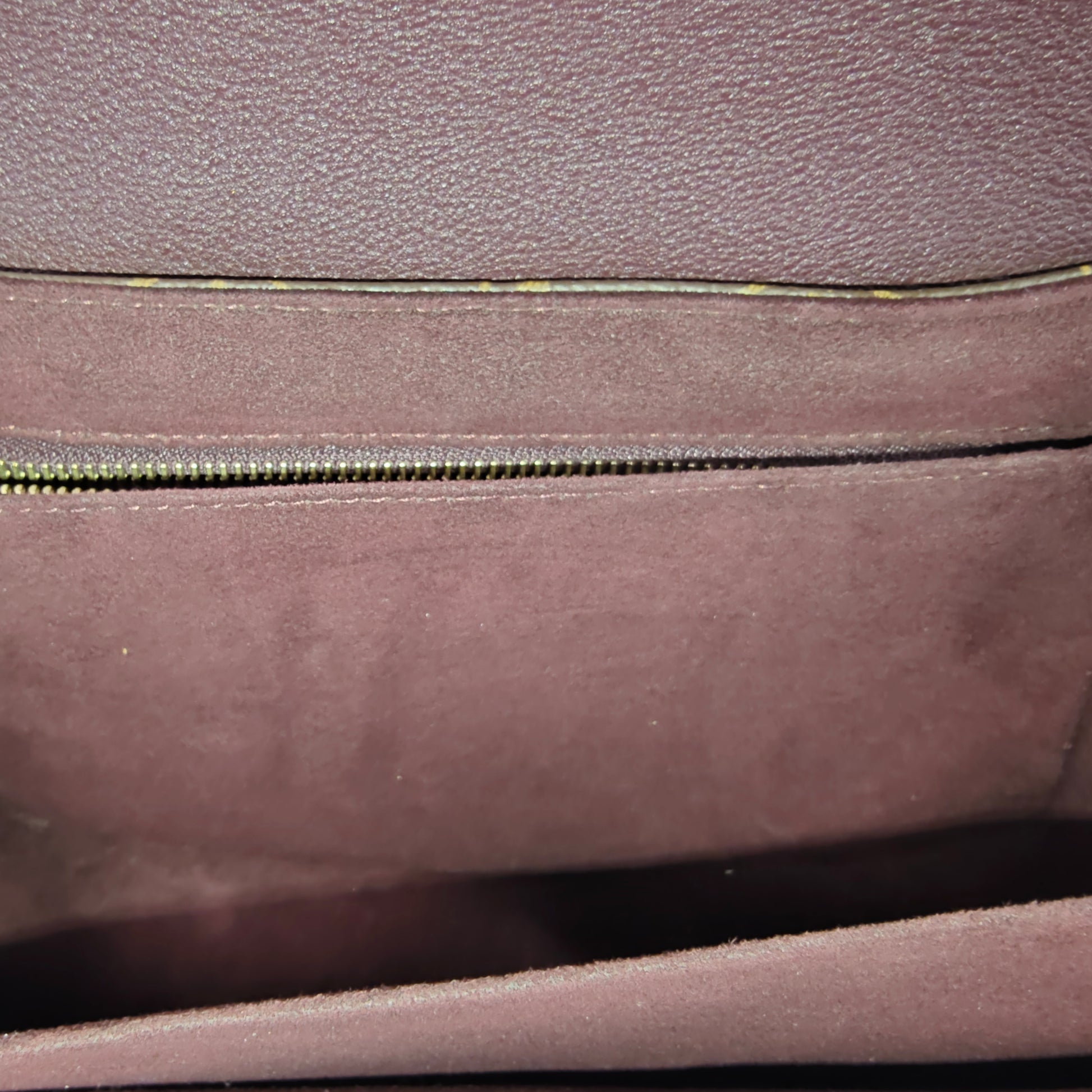 Monogram Eden MM Bordeaux
