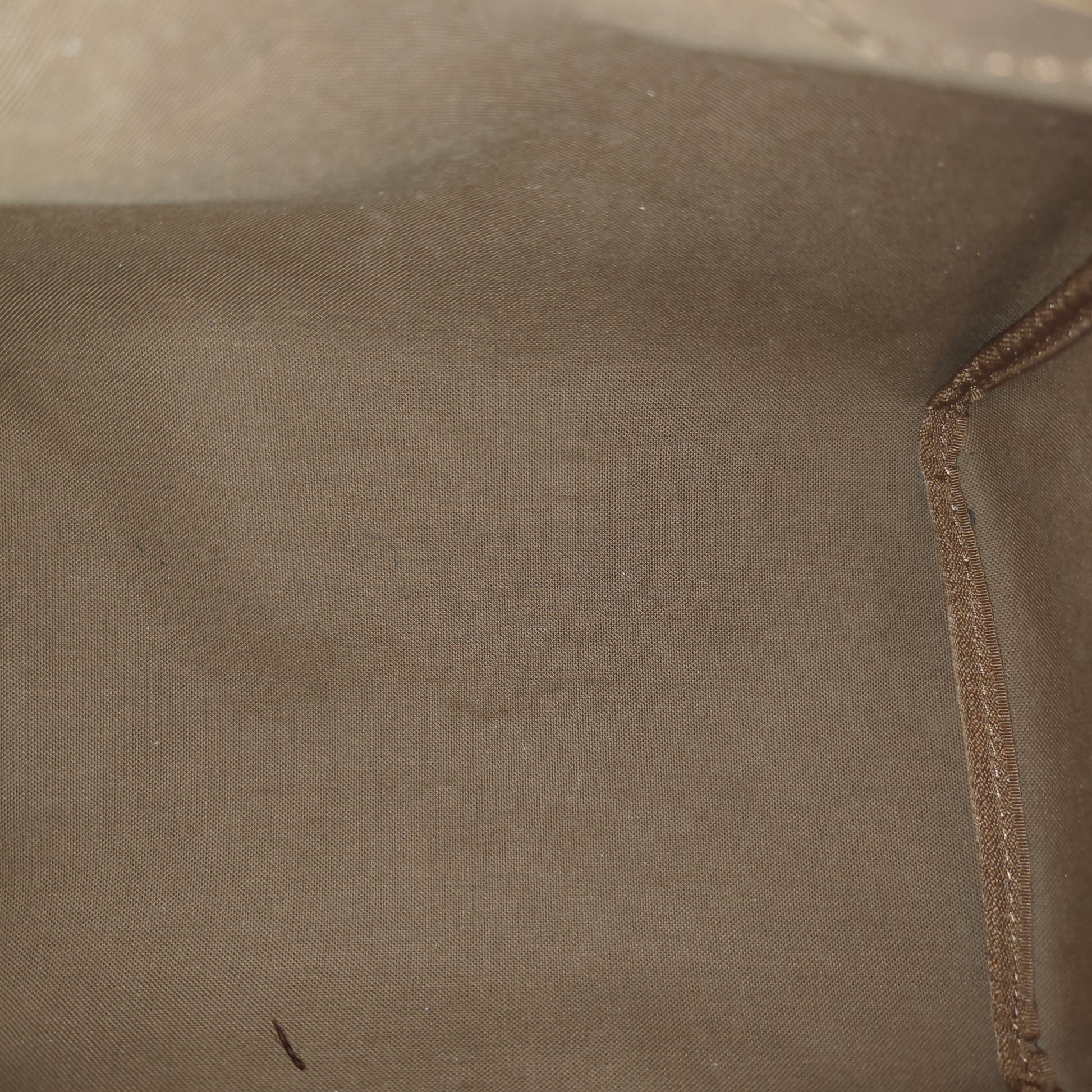 Speedy Handbag Monogram Canvas 30