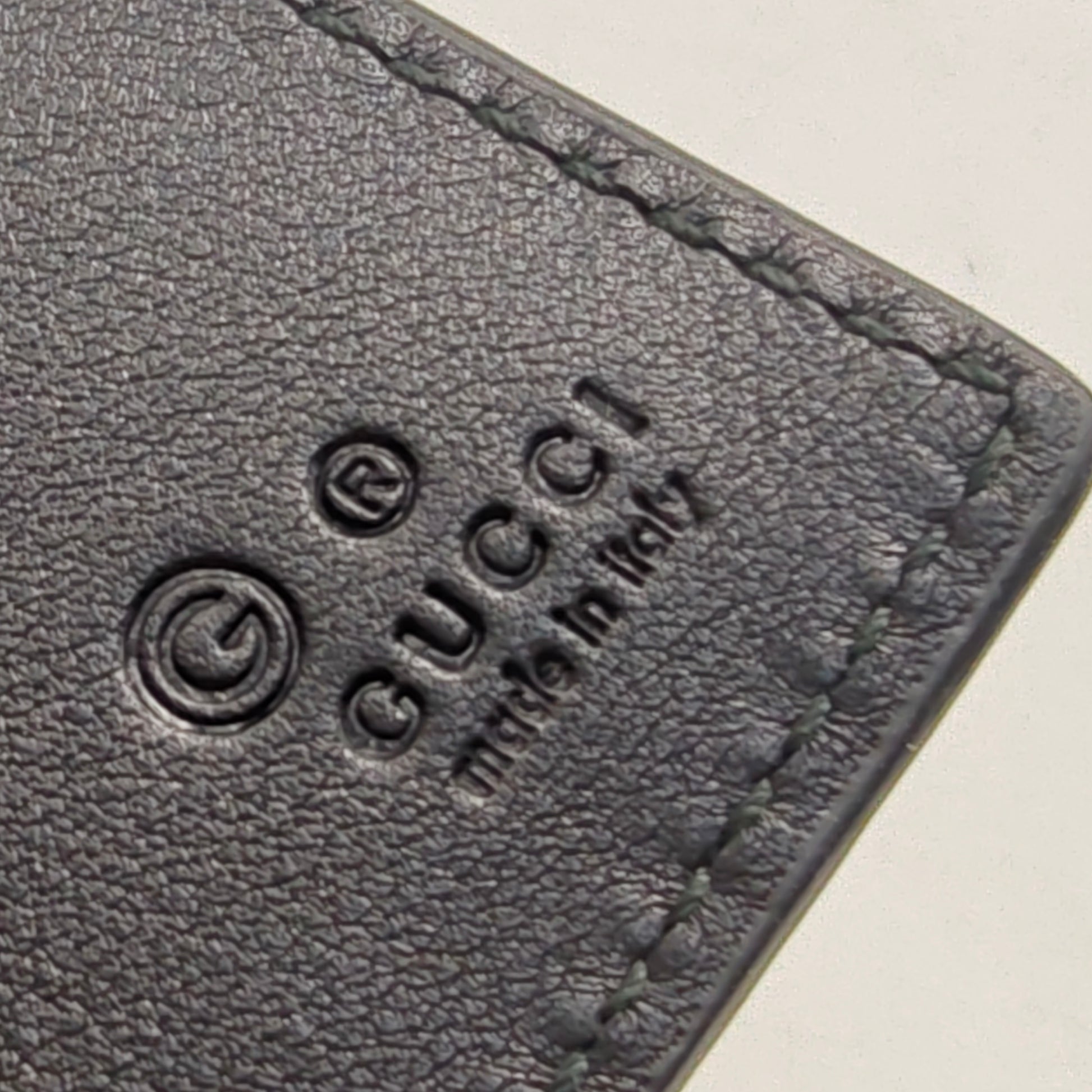 Microguccissima Passport Holder