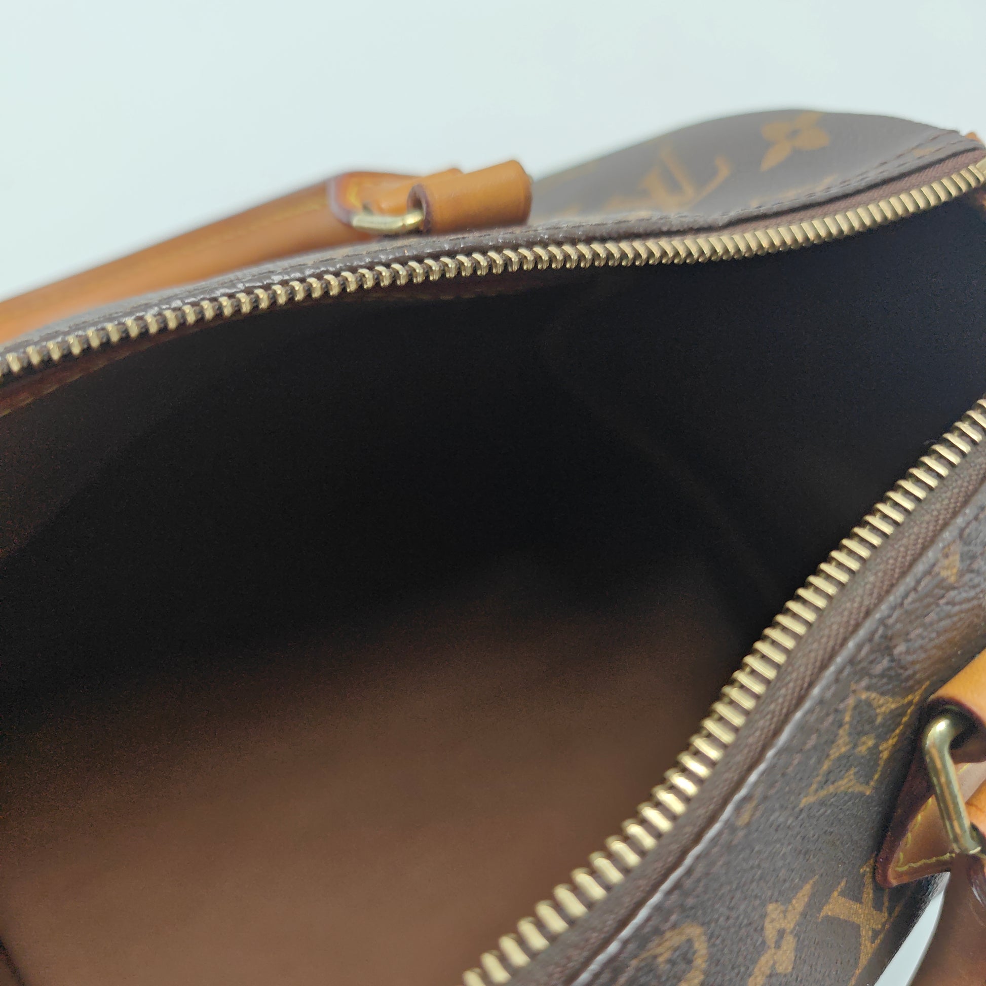 Speedy Handbag Monogram Canvas 30
