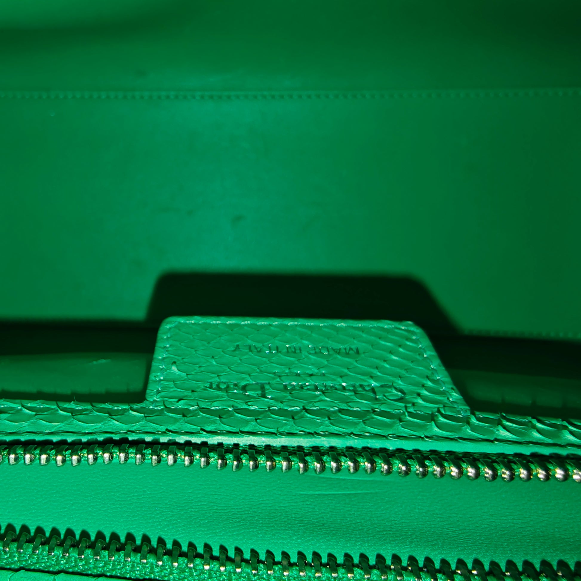 Snakeskin Medium Lady Dior Green twins