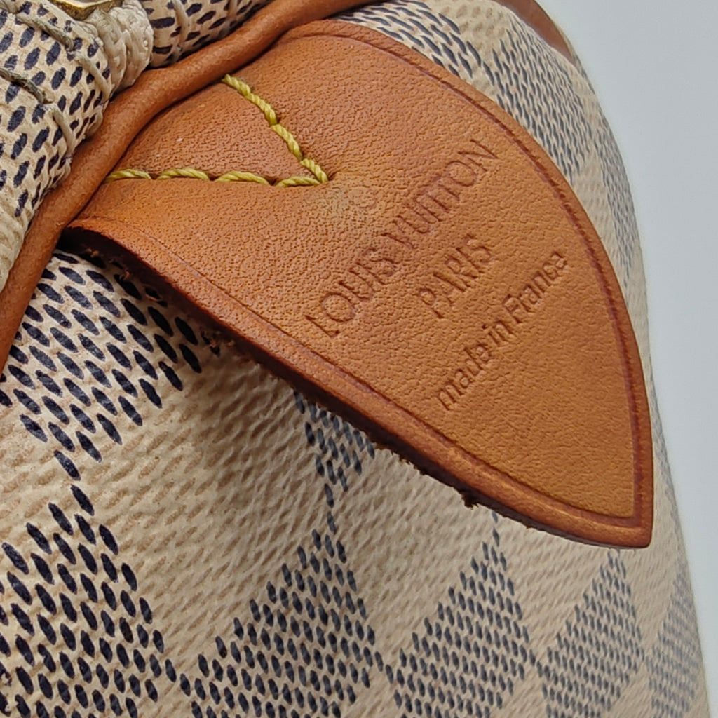 Speedy Handbag Damier 30