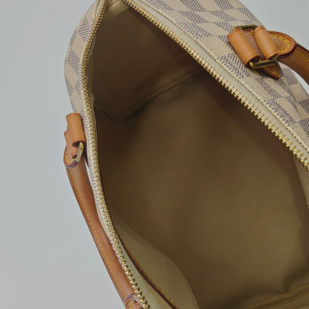 Speedy Handbag Damier 30