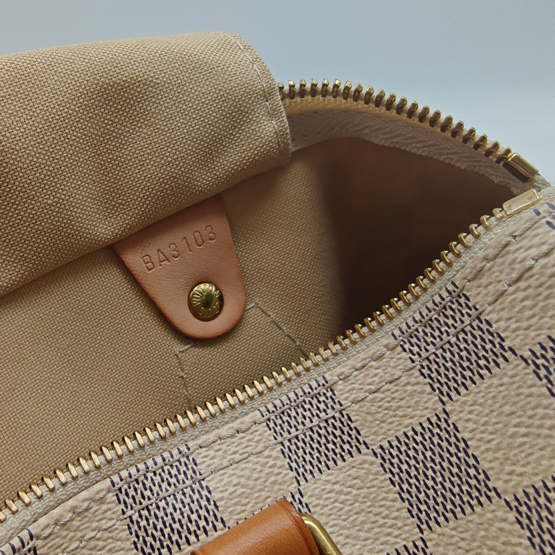 Speedy Handbag Damier 30