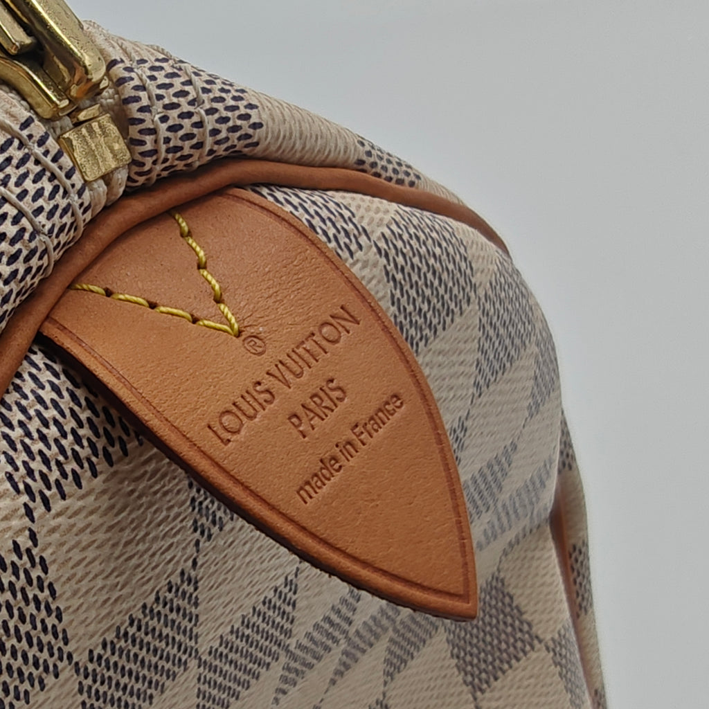 Speedy Handbag Damier 30