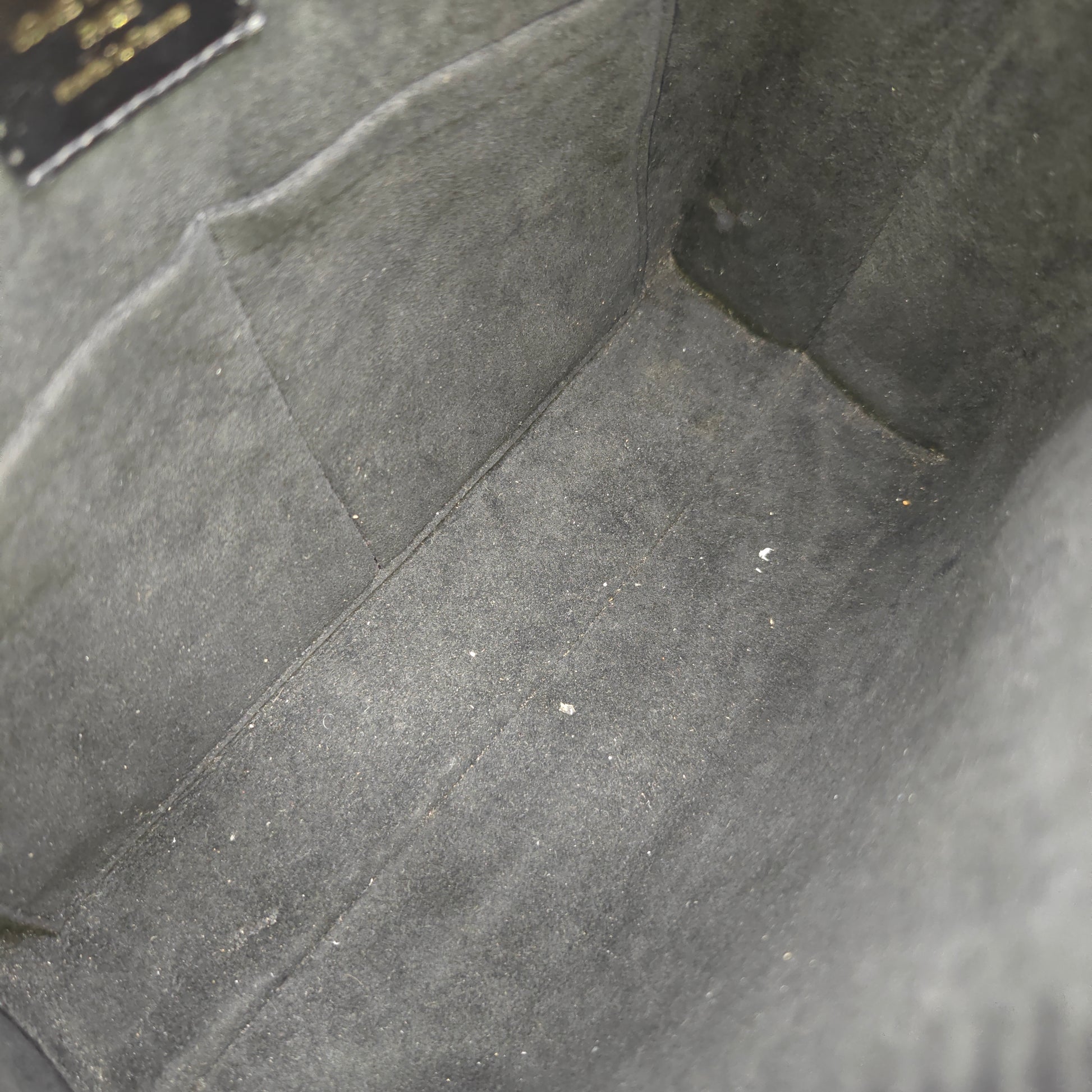 Louis Vuitton Monogram Canvas Leather City Malle Reverse Bag twins