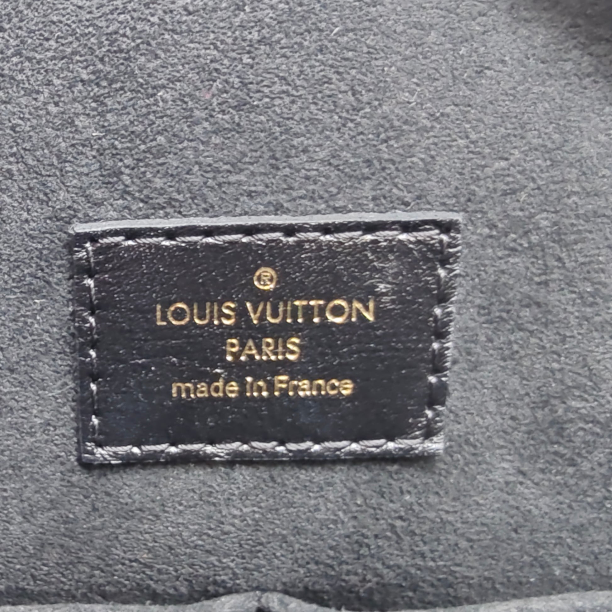 Louis Vuitton Monogram Canvas Leather City Malle Reverse Bag twins