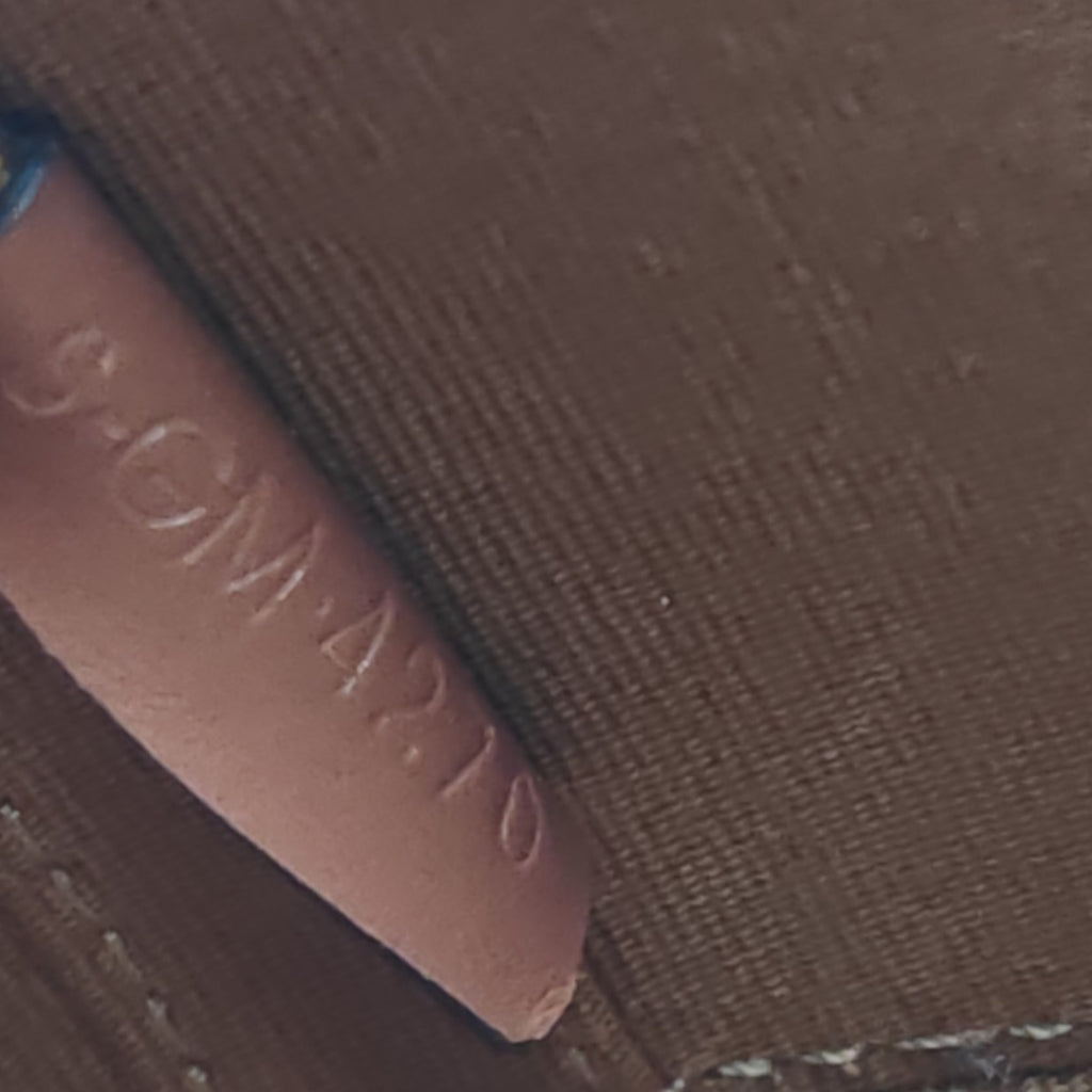 Tambour Bag Triomphe Coated Canvas Medium Twins