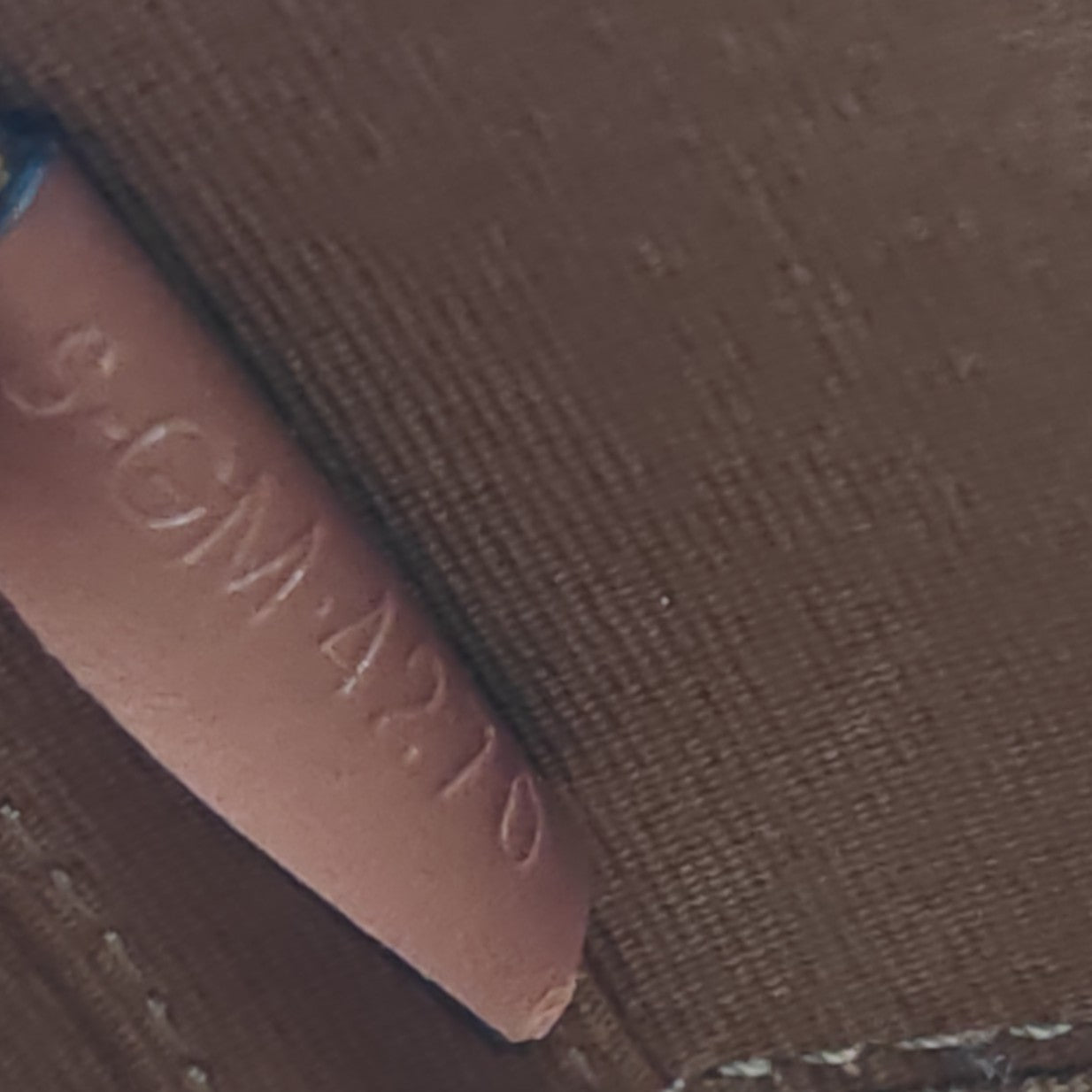 Tambour Bag Triomphe Coated Canvas Medium Twins