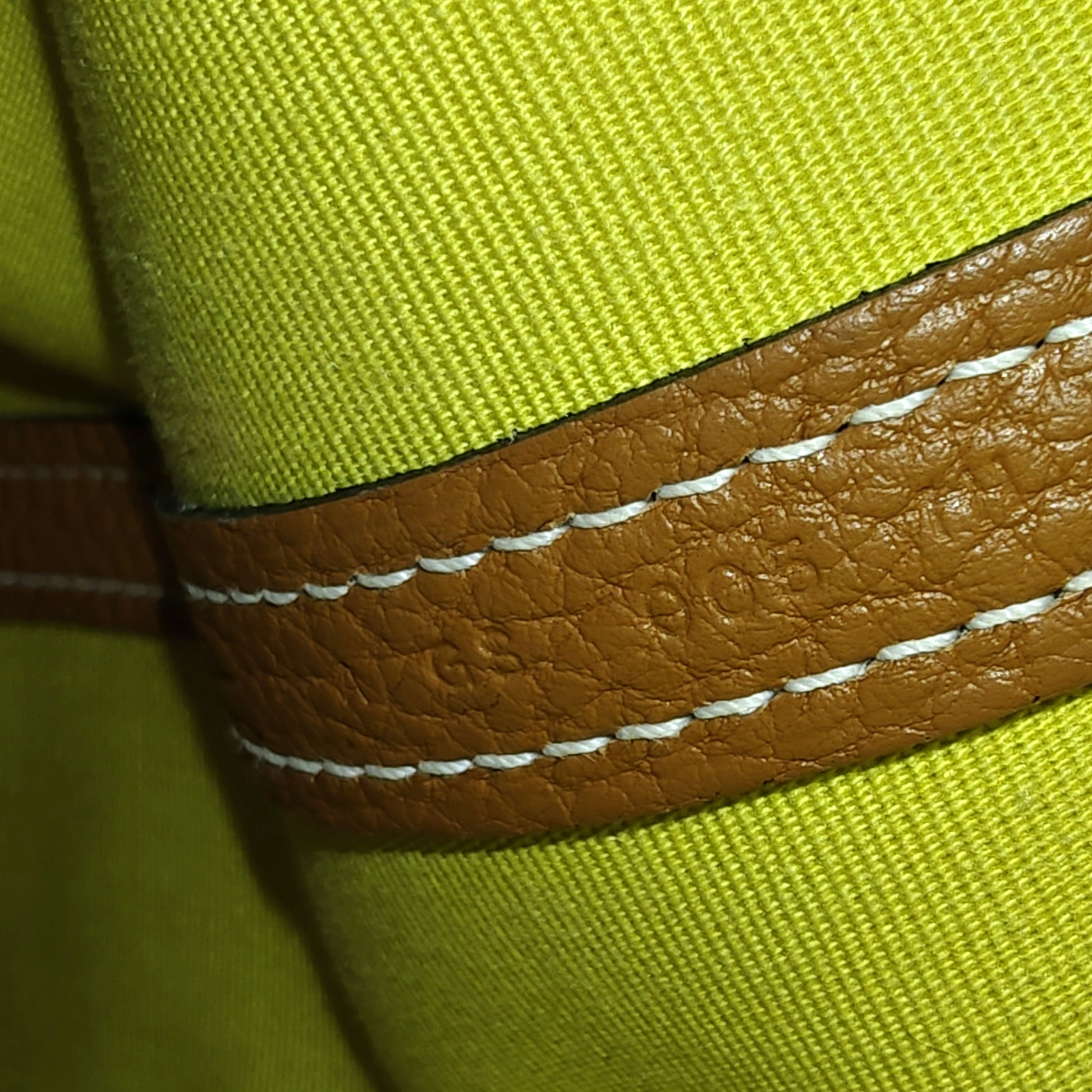 Garden Party Tote Toile and Leather 30 Twins