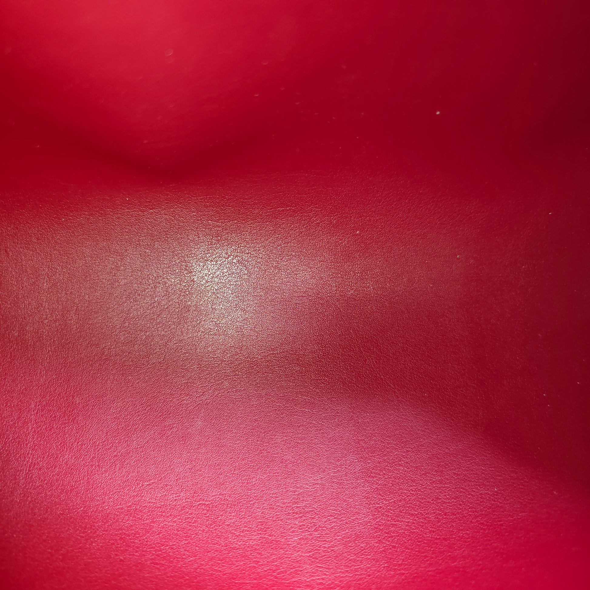 Framboise Monogram Vernis Papillon 30 Bag