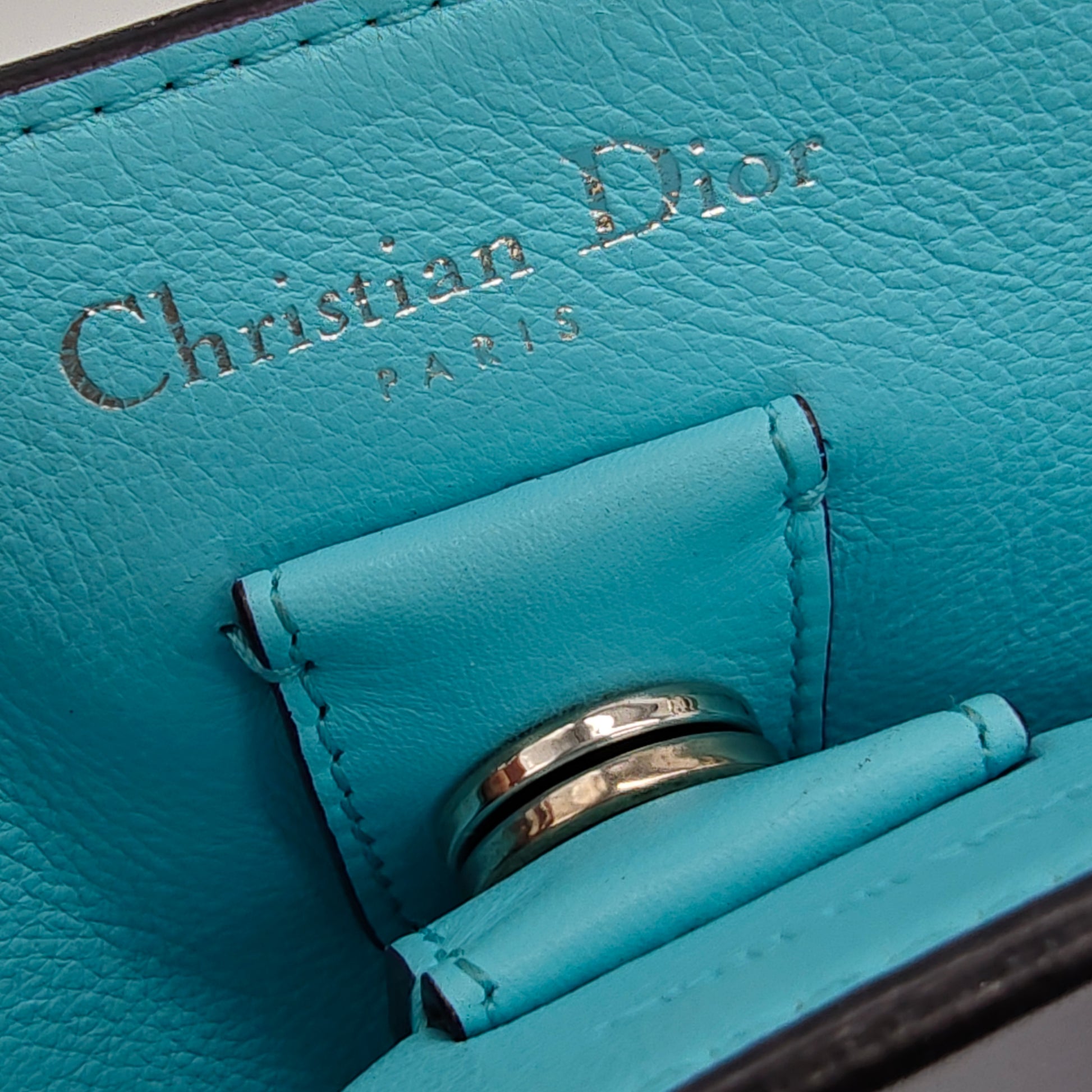 Leather Diorissimo Large